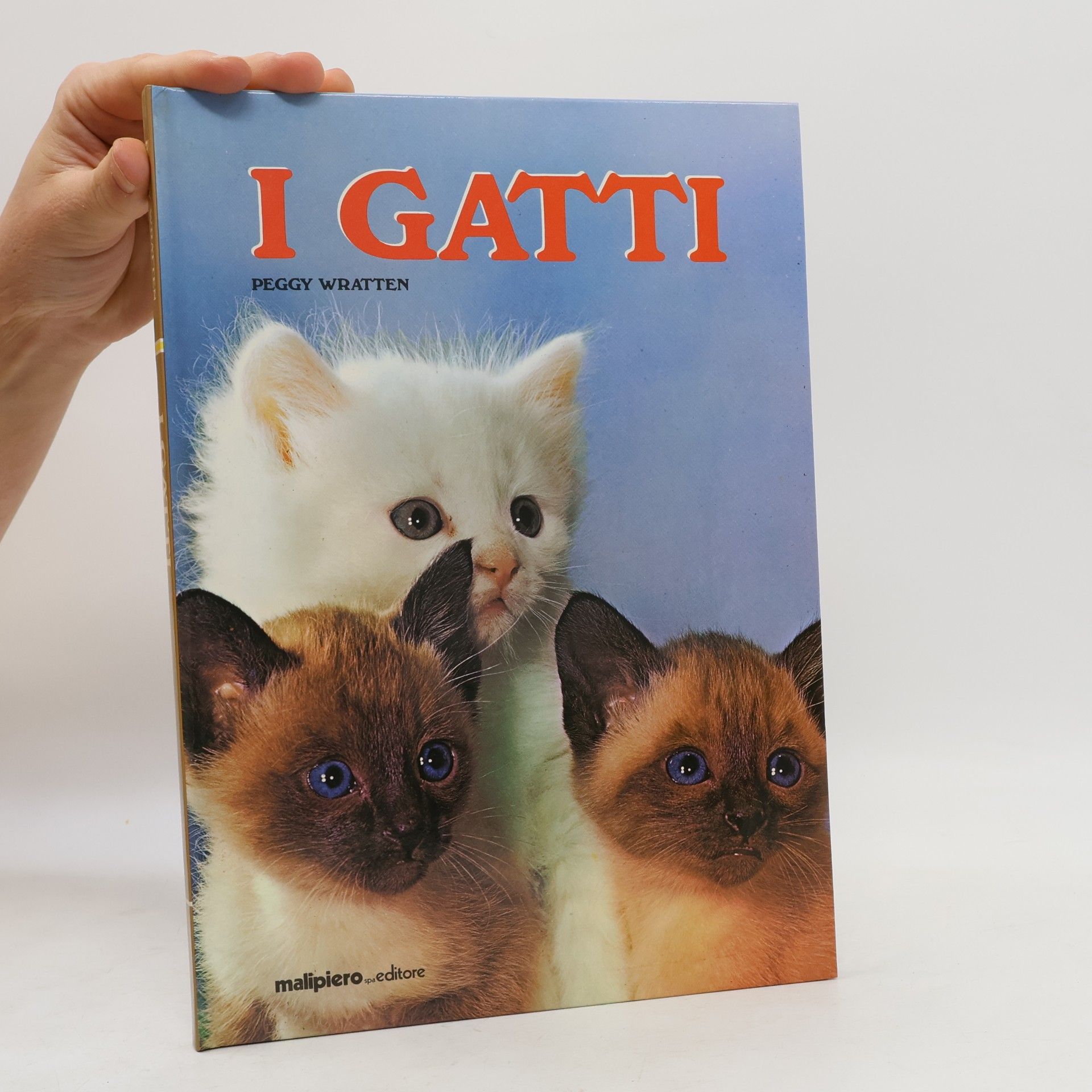 I gatti