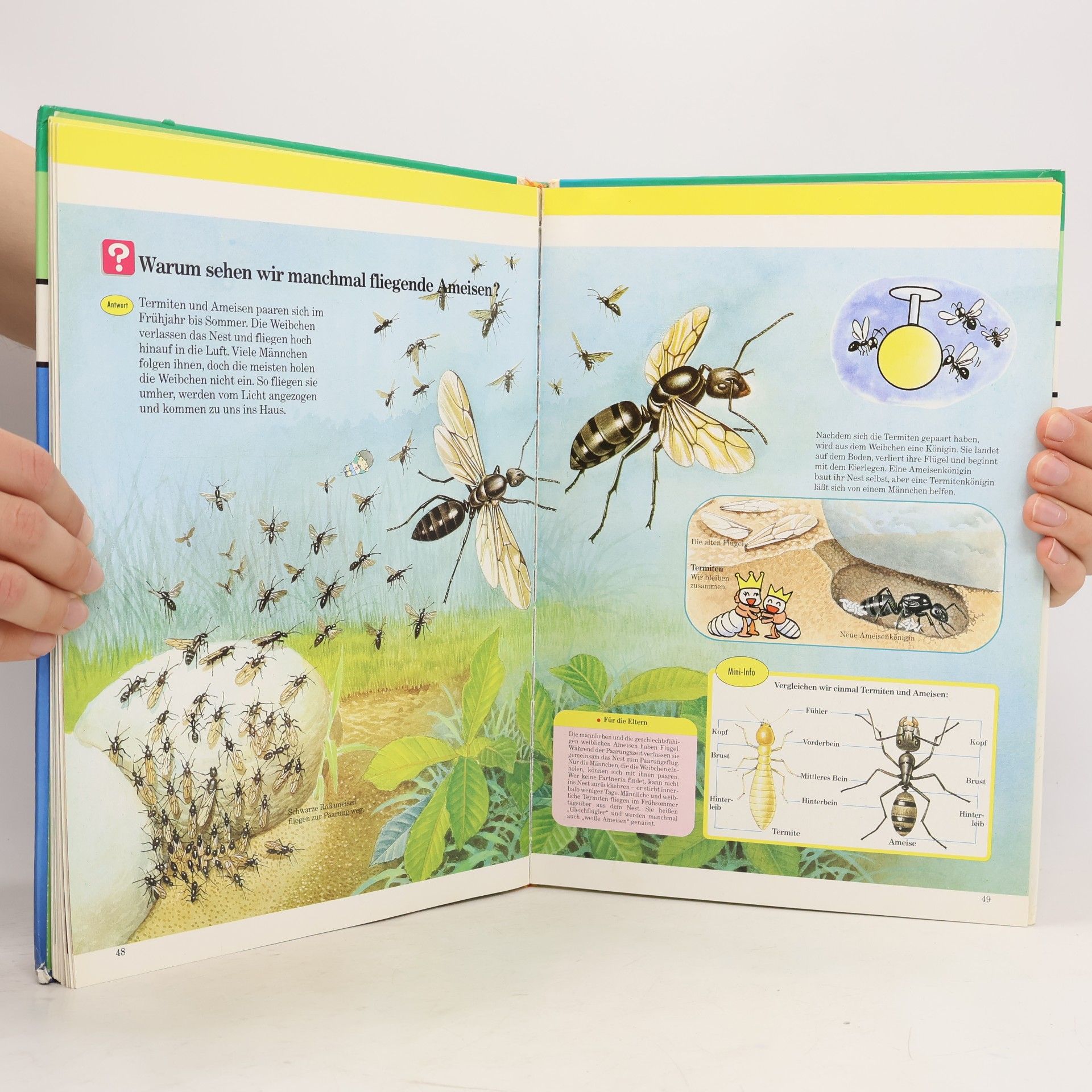 Marianne Tölle Kinder entdecken ... die Welt der Insekten