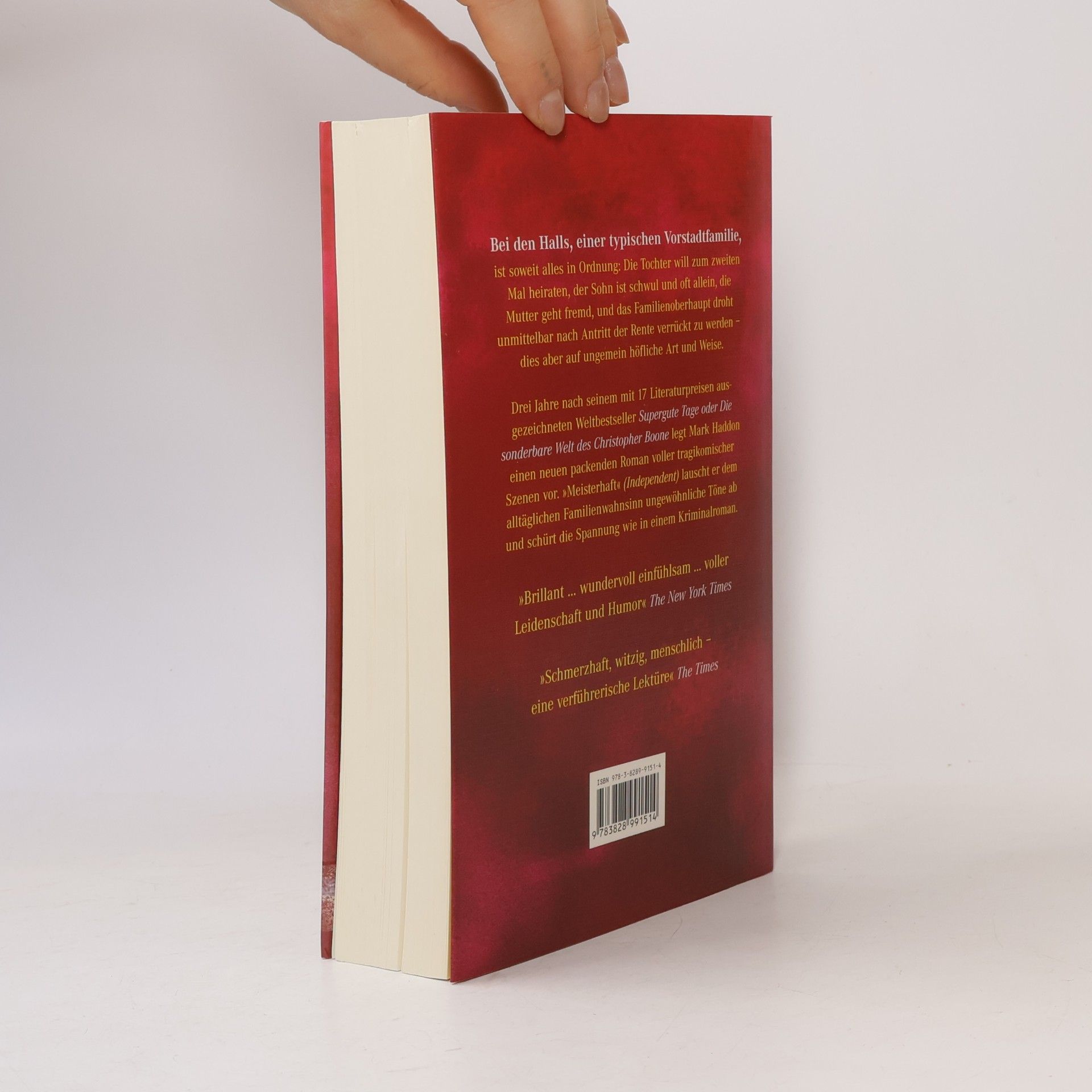 Mark Haddon Der wunde Punkt