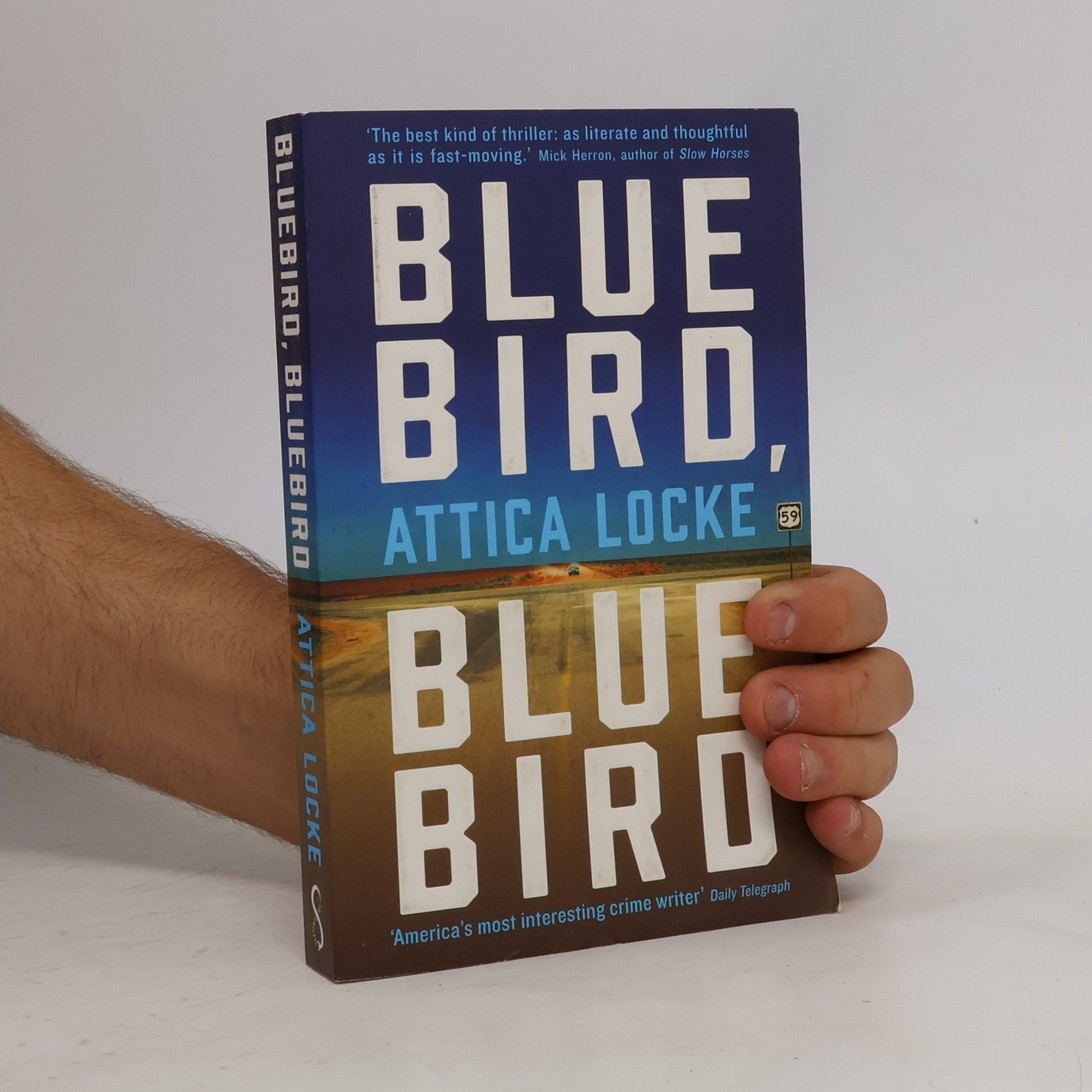 Attica Locke Bluebird, Bluebird