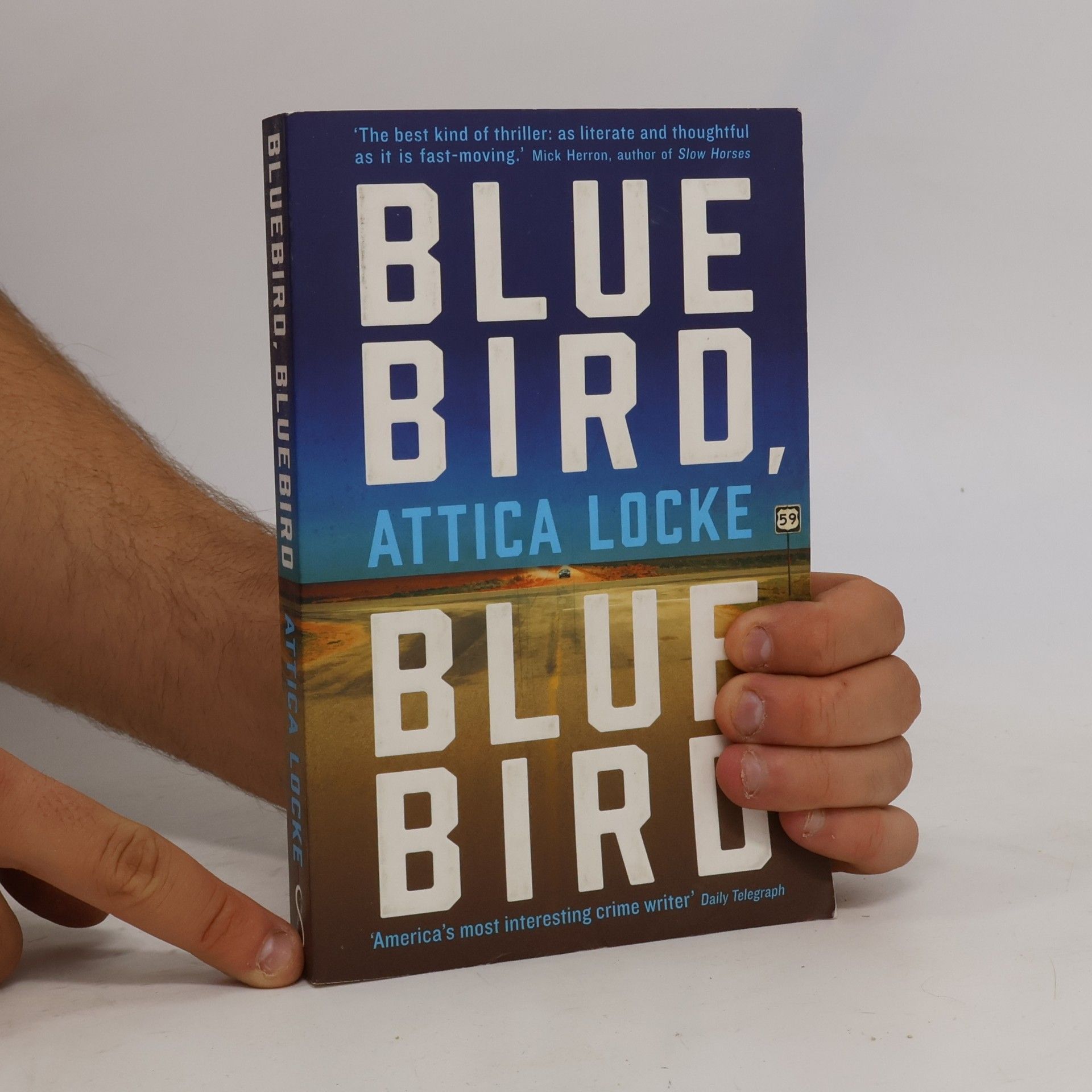 Attica Locke Bluebird, Bluebird