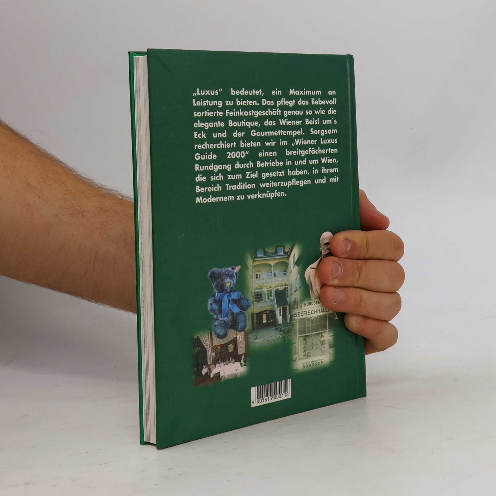 Autorenkollektiv Wiener Luxus Guide 2000