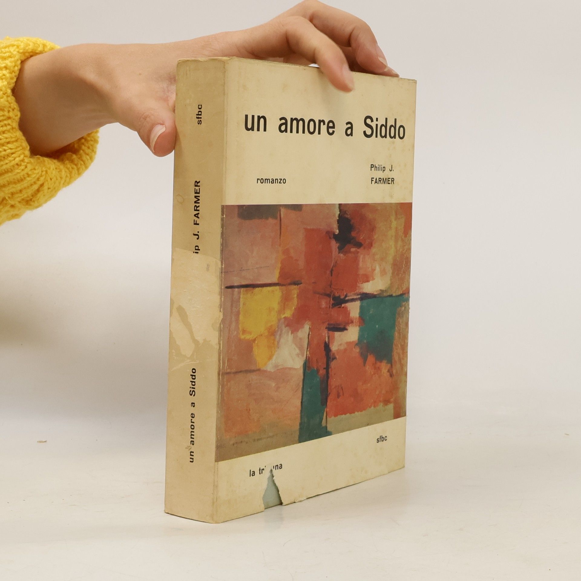 Un amore a Siddo