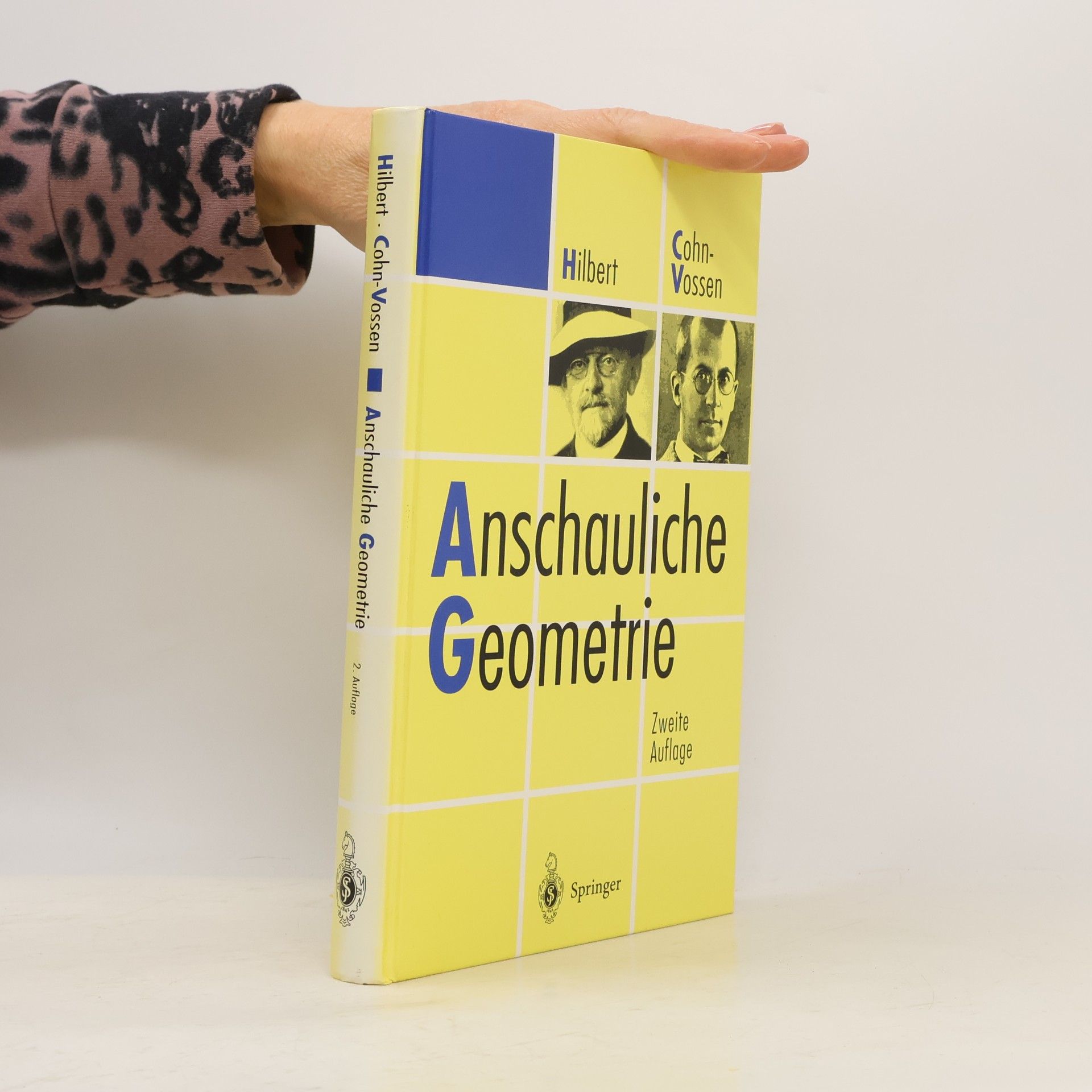 David Hilbert Anschauliche Geometrie