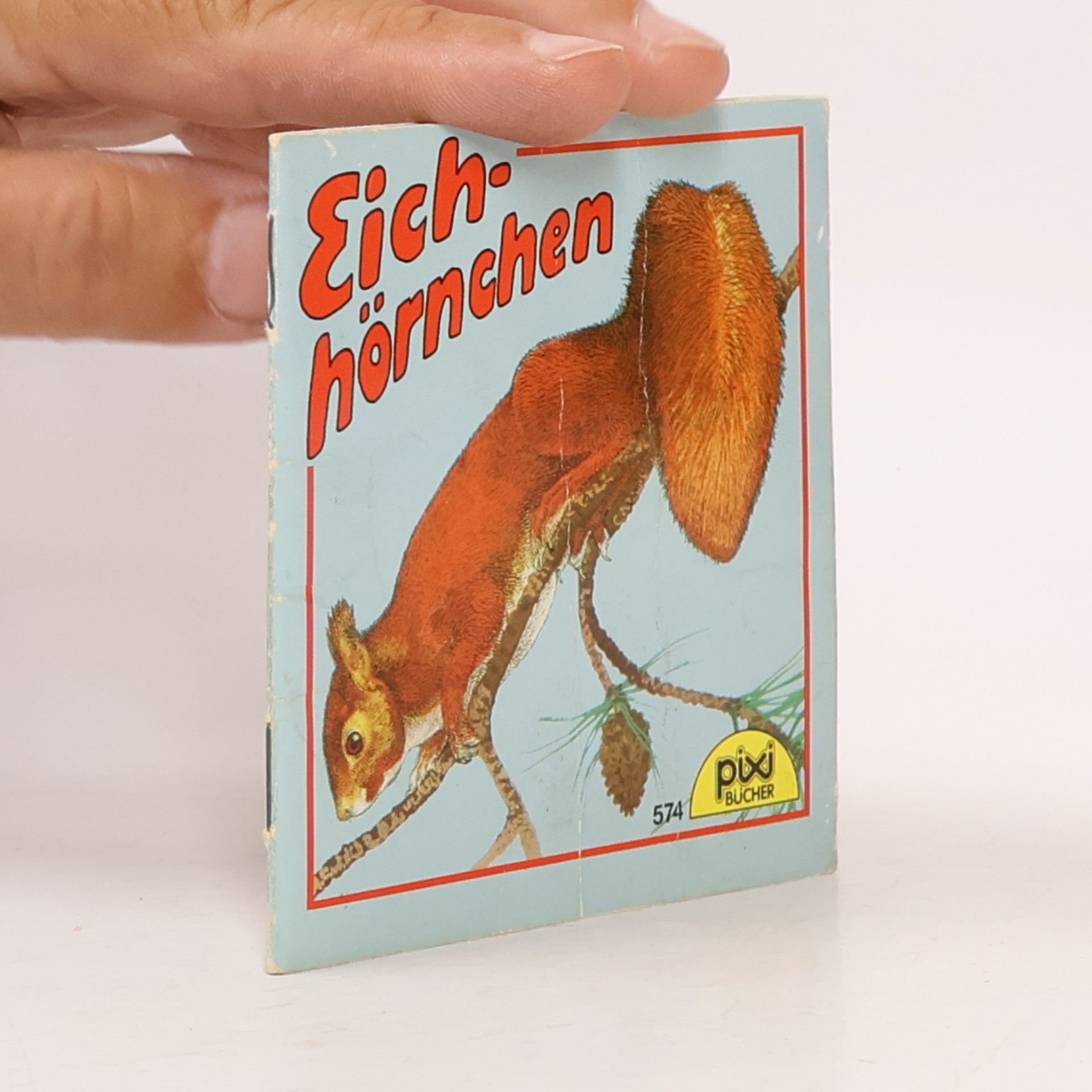 Eichhörnchen 574