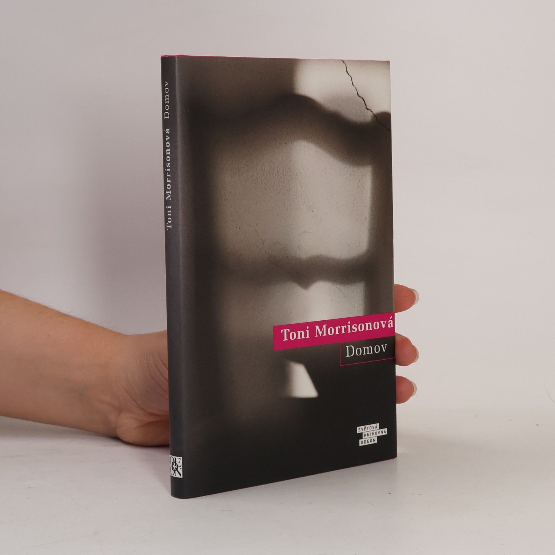 Toni Morrison Domov