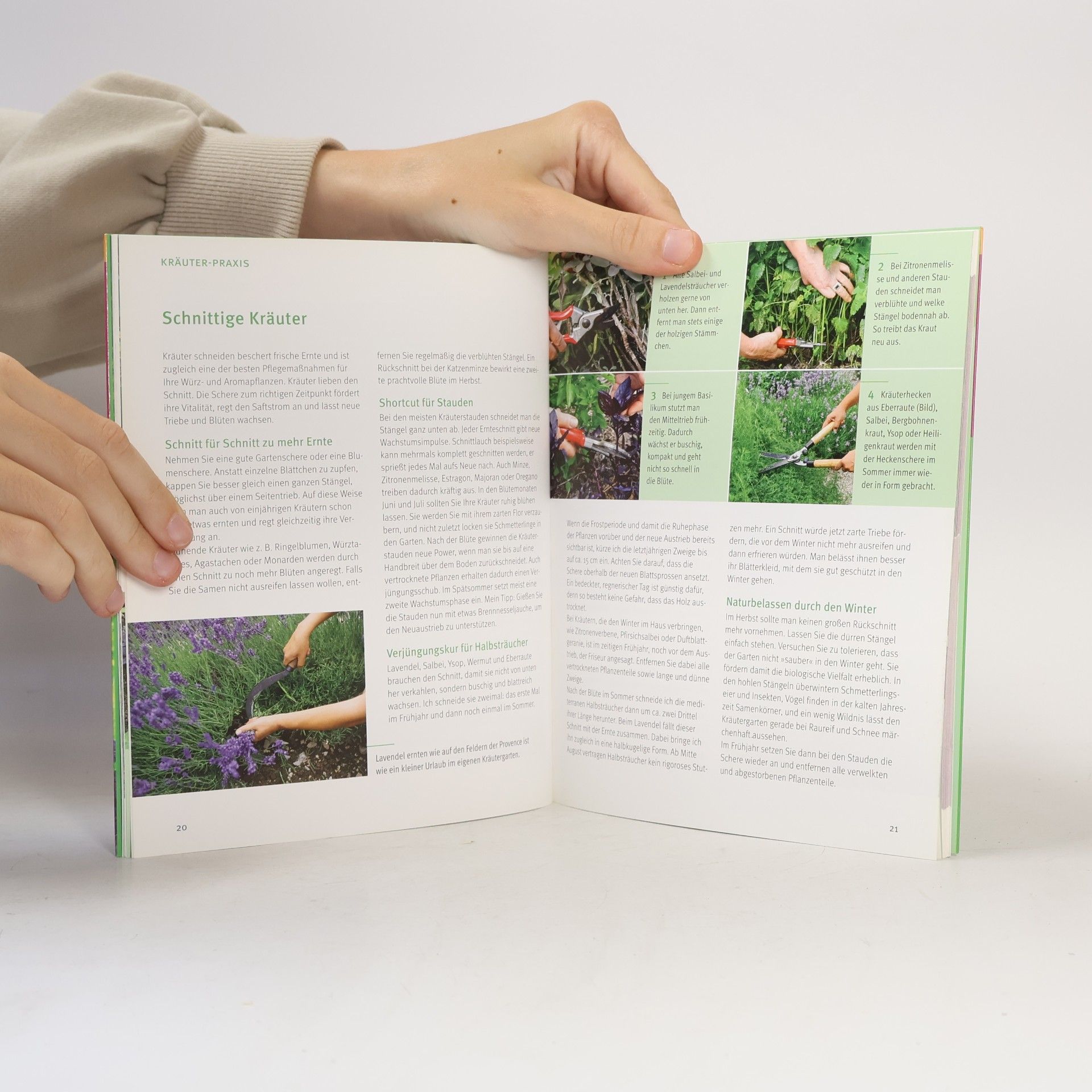 Heide Bergmann Kräuter für jeden Garten