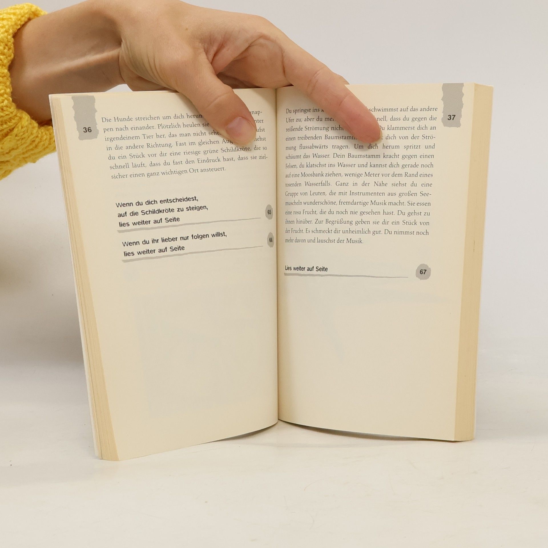 Edward Packard Die Insel der 1000 Gefahren