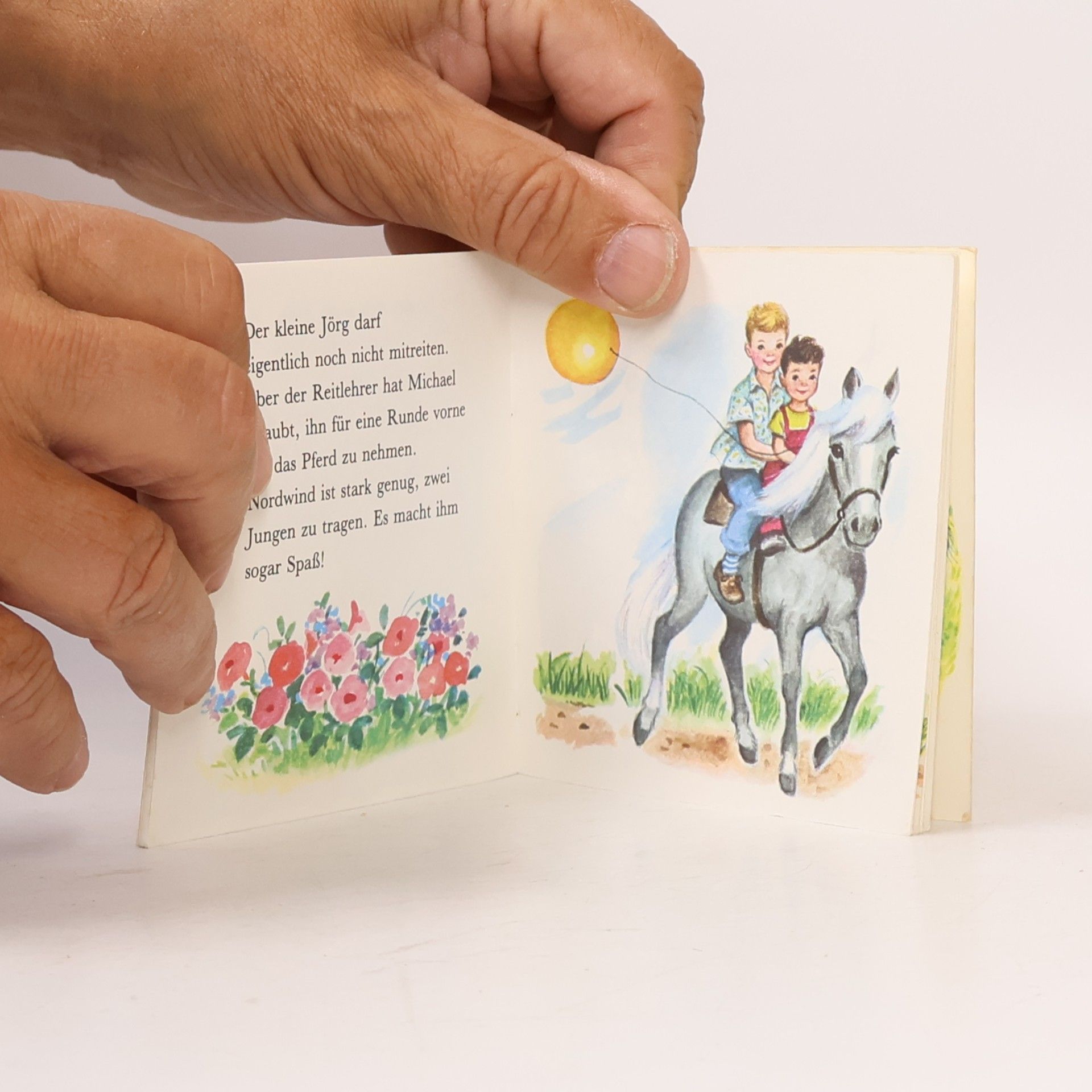 Pixi Buch - 33: Im Ponygarten