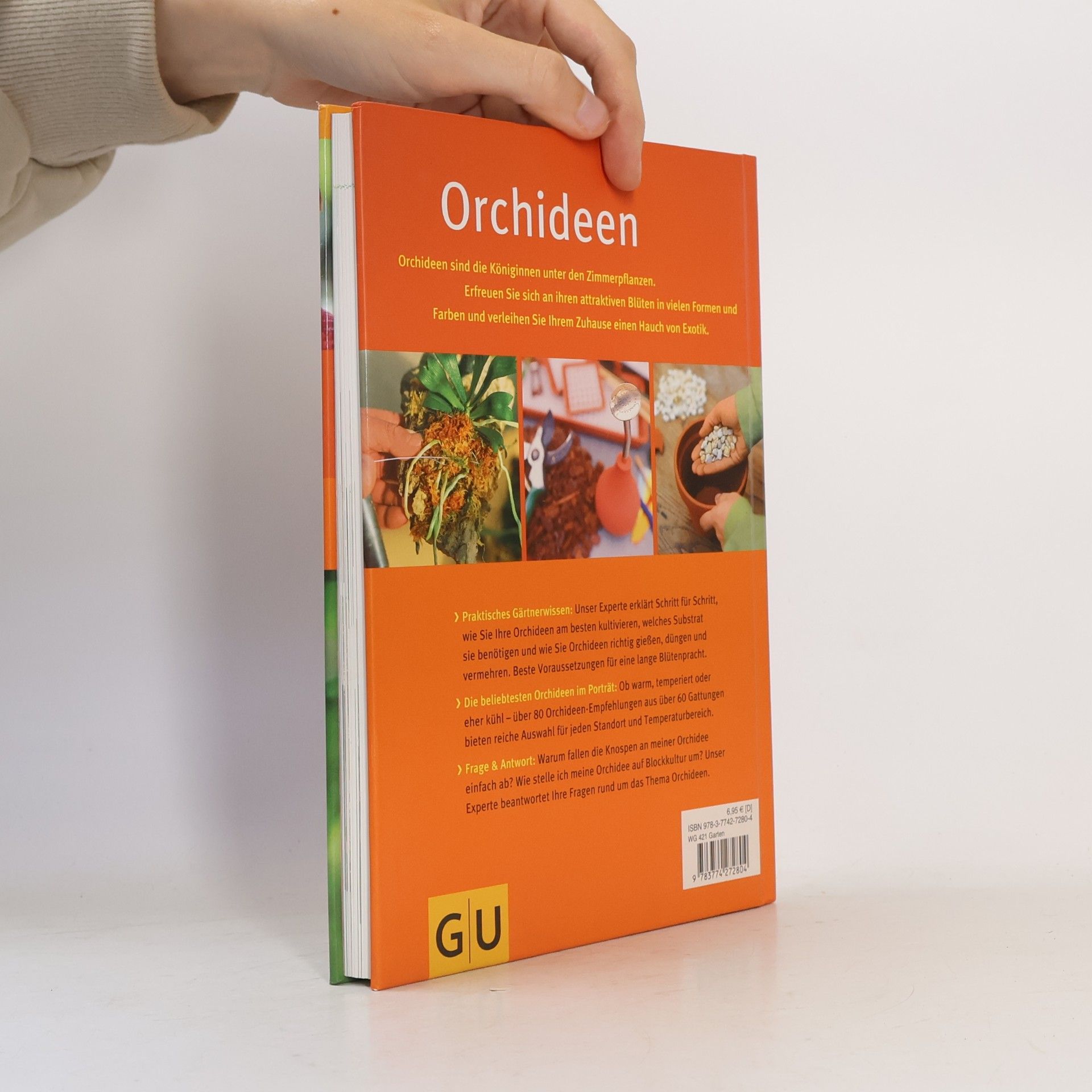 Frank Rolke Orchideen