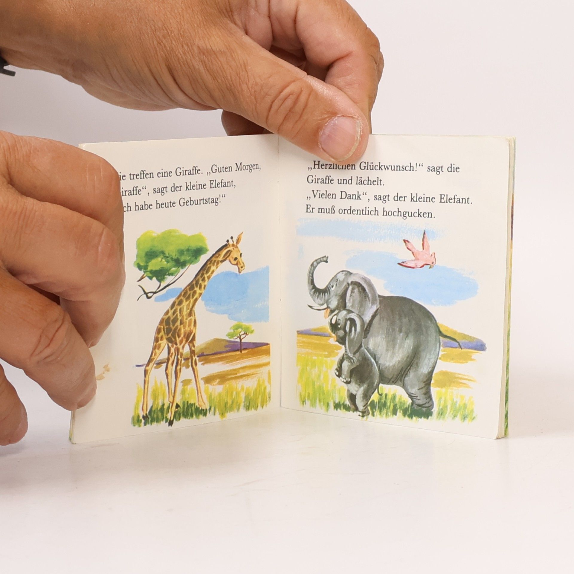 kolektiv Der kleine Elefant