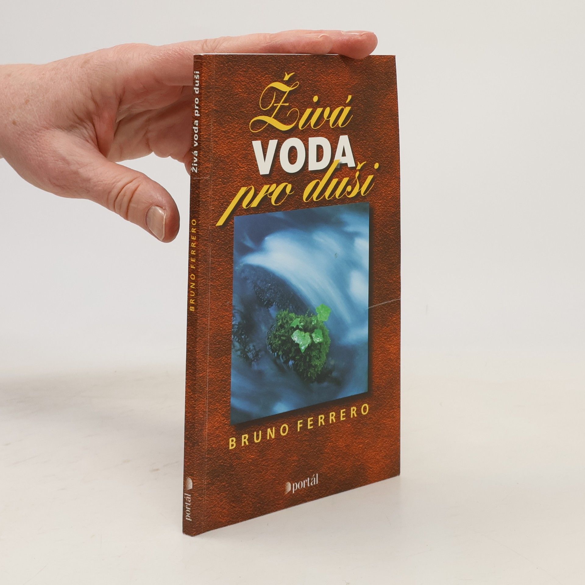 Bruno Ferrero Živá voda pro duši