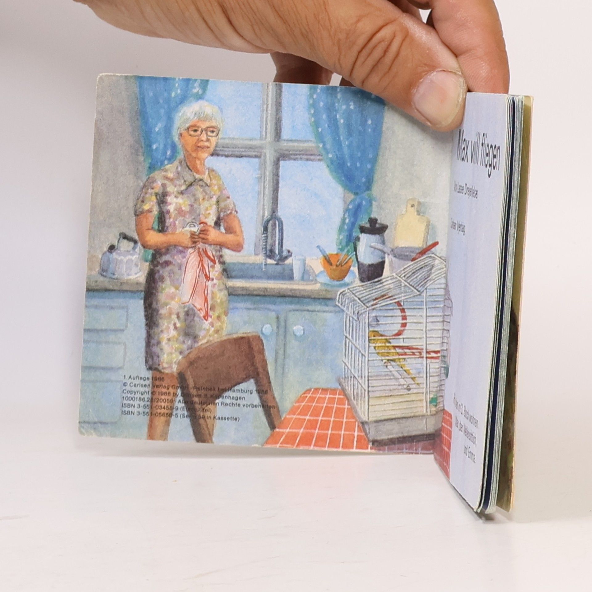 Lasse Drejer Nielsen Pixi Bücher - 455: Max will fliegen