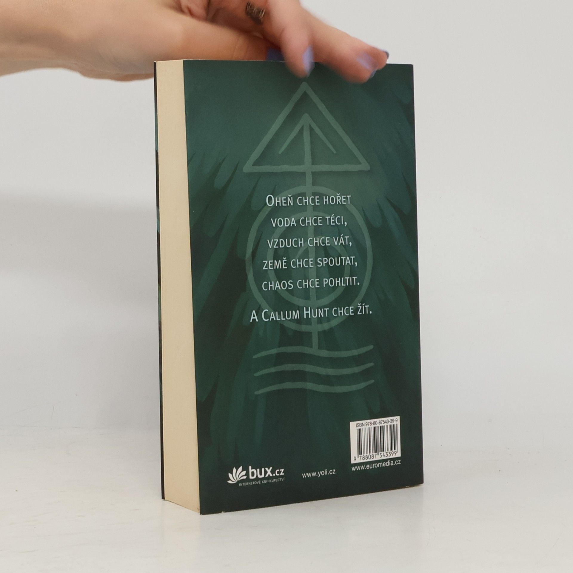 Holly Black Magisterium 1. Železná zkouška