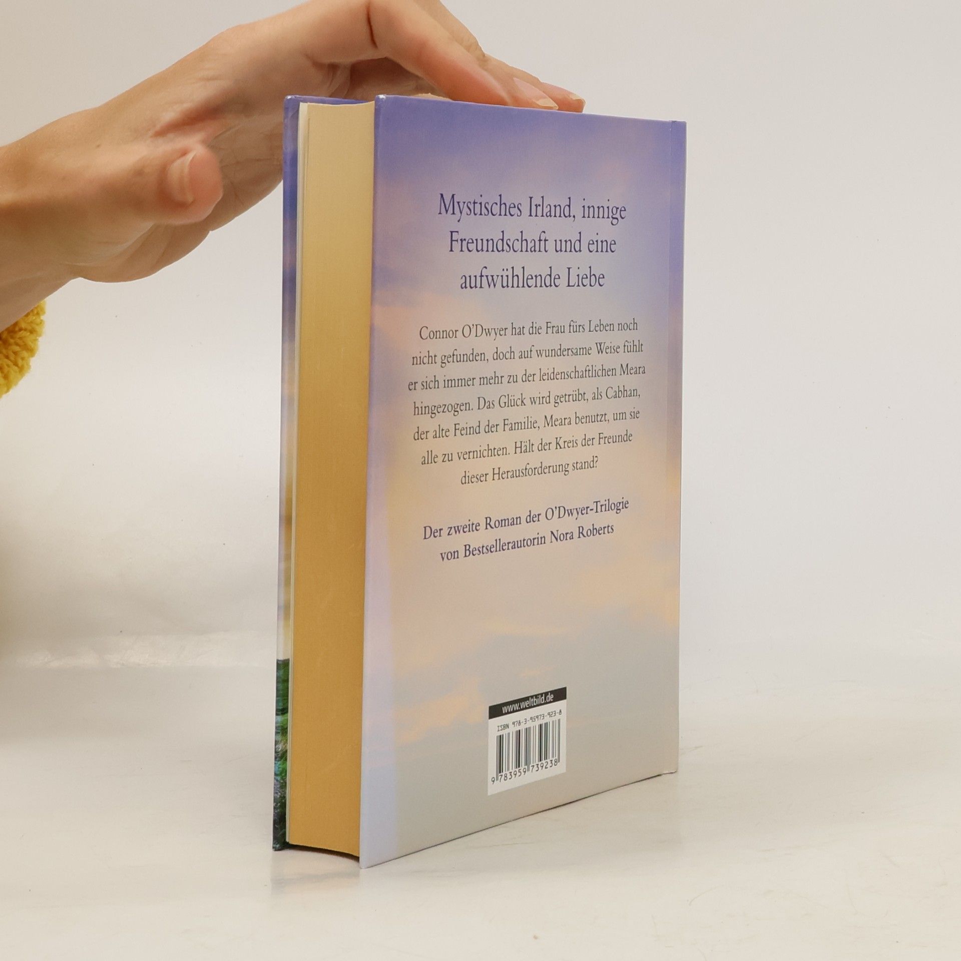 Nora Roberts Pfade der Sehnsucht