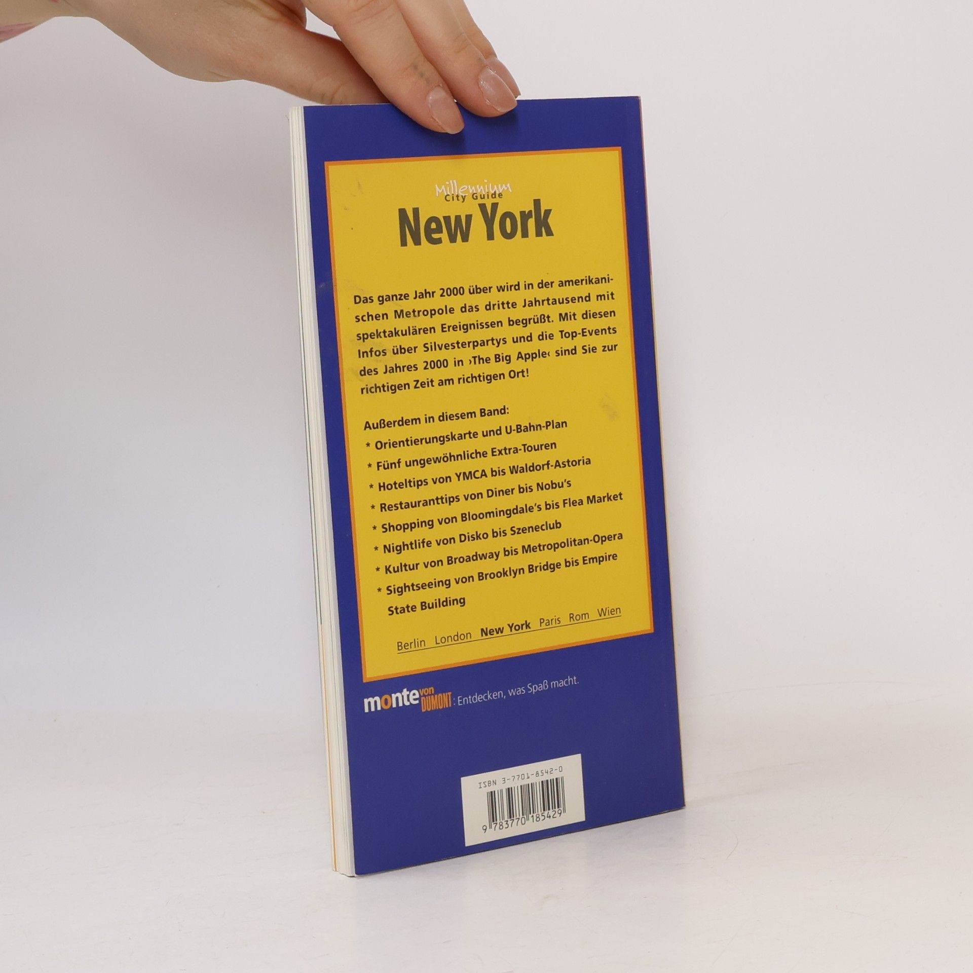 Stefan Nink New York Millennium City Guide