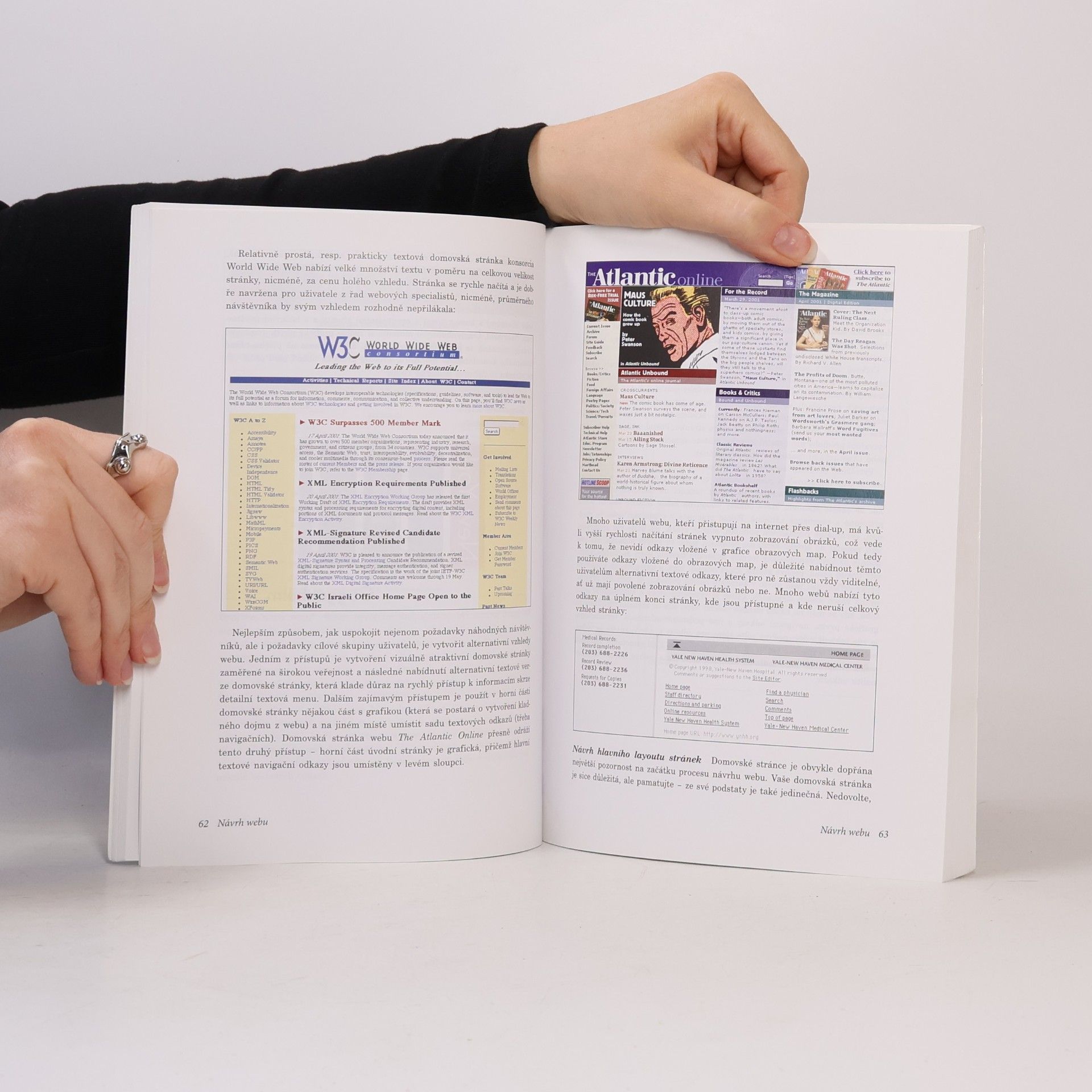 Patrick J. Lynch Základní průvodce webdesignem