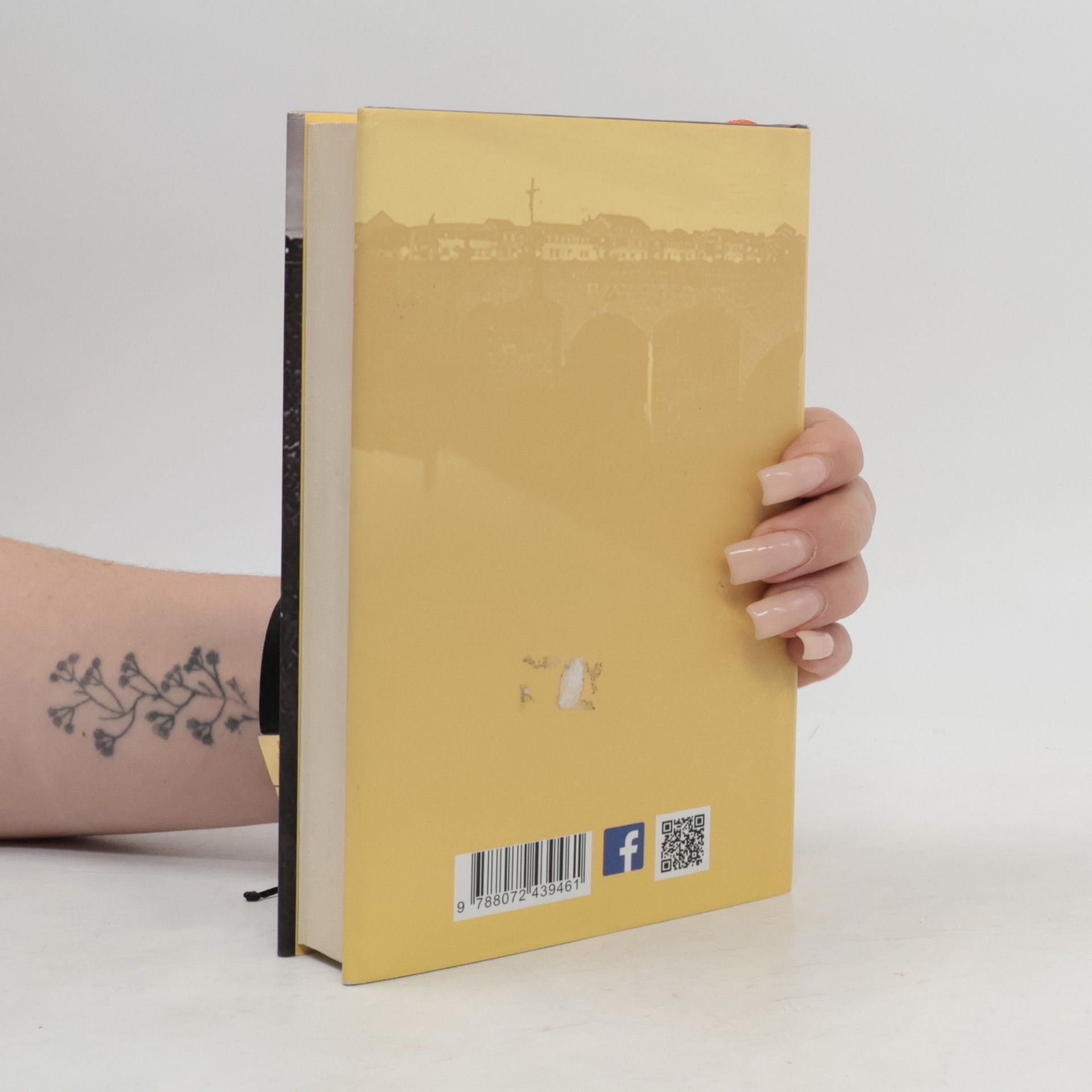 Pavel Sekyrka Nedosáhneš na dno