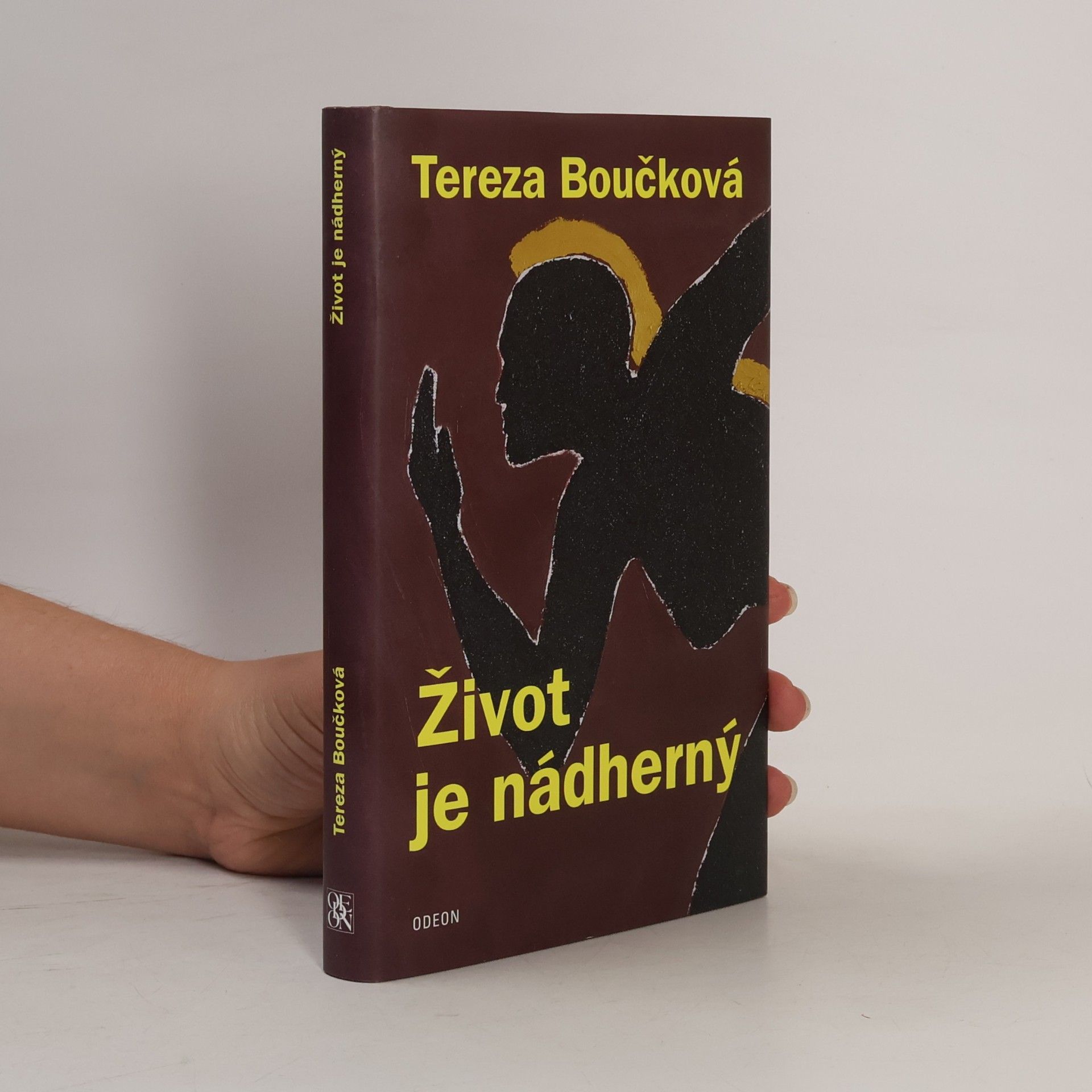 Život je nádherný