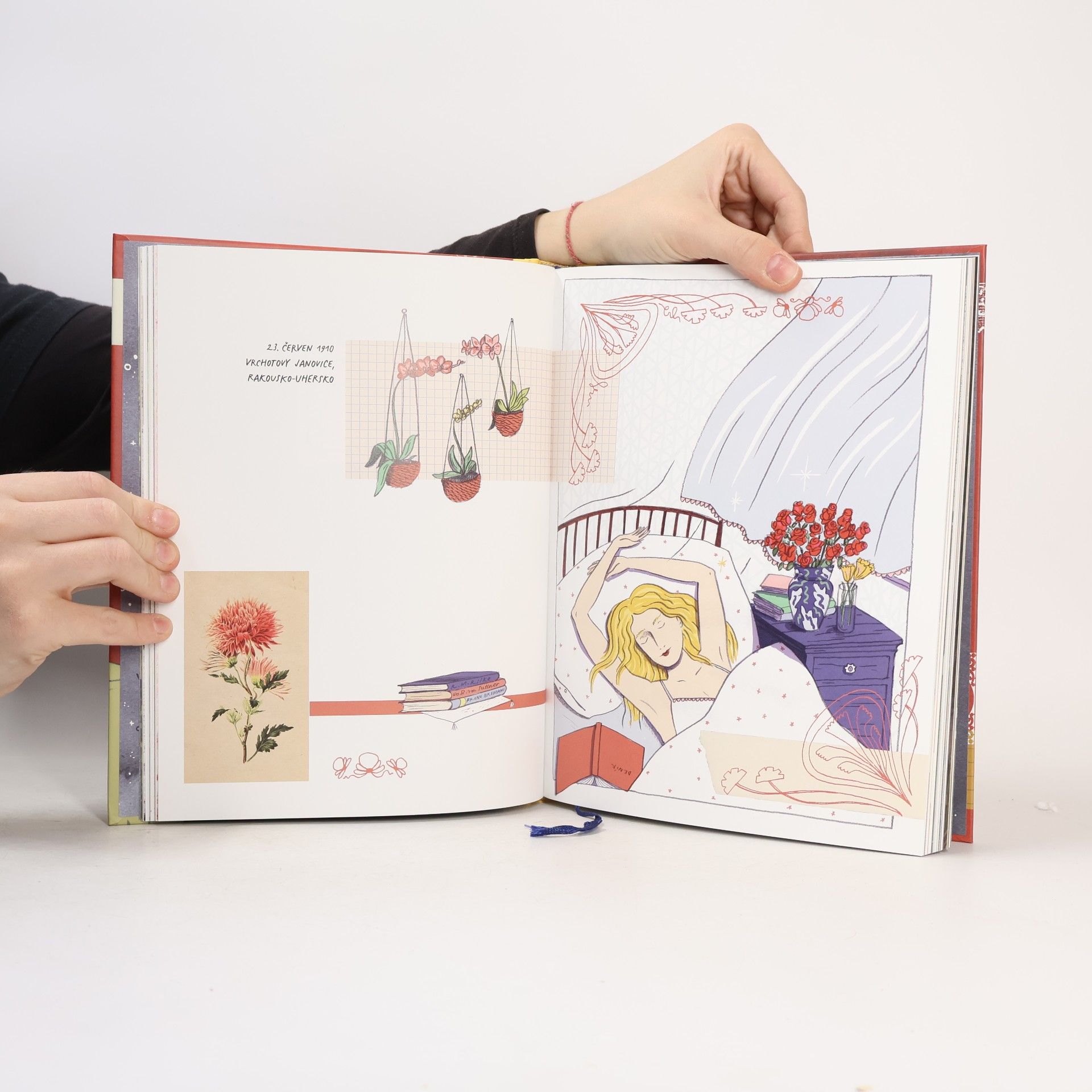 Tereza Srbová Sidonie : komiksový román