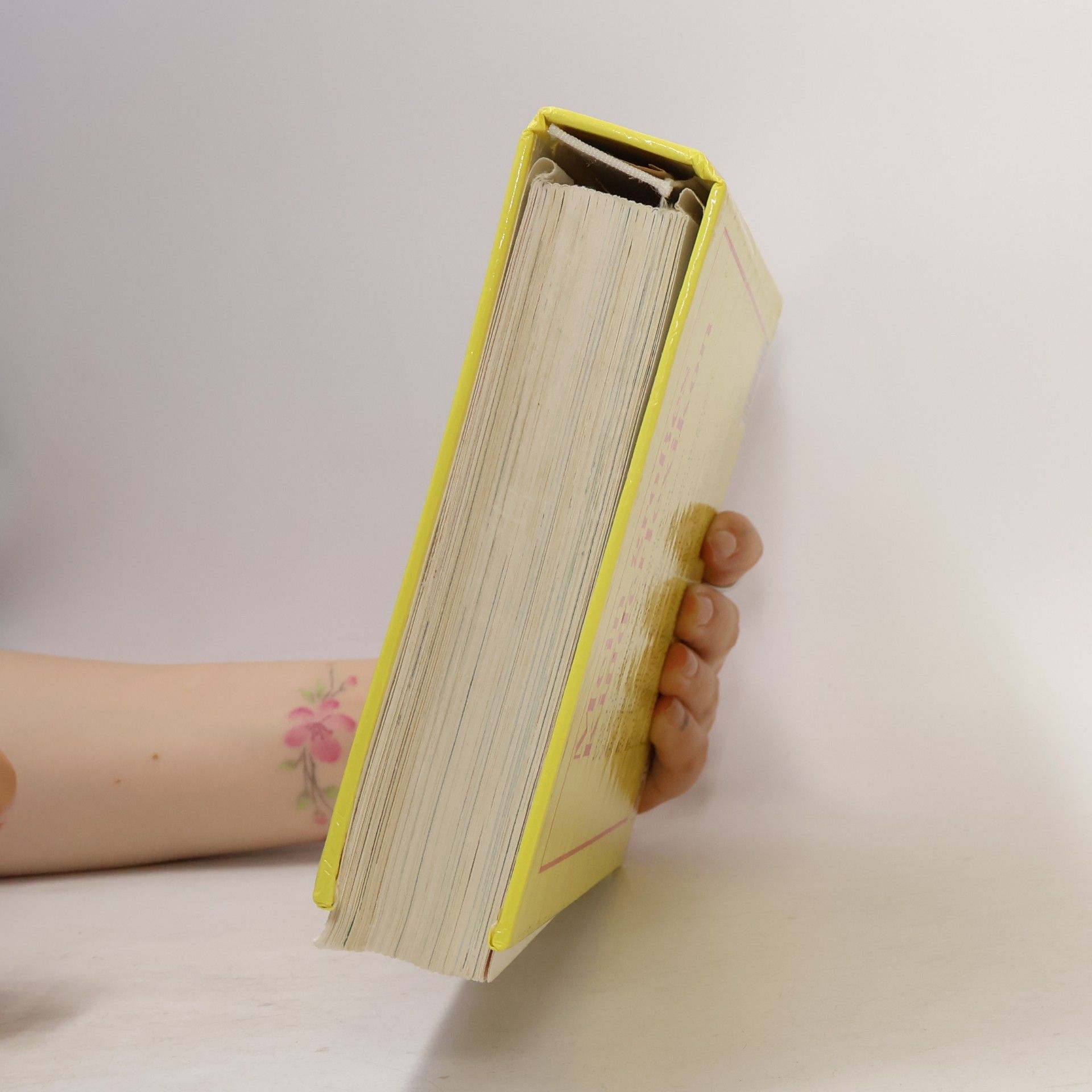 Autorenkollektiv Mein großes Kinderlexikon