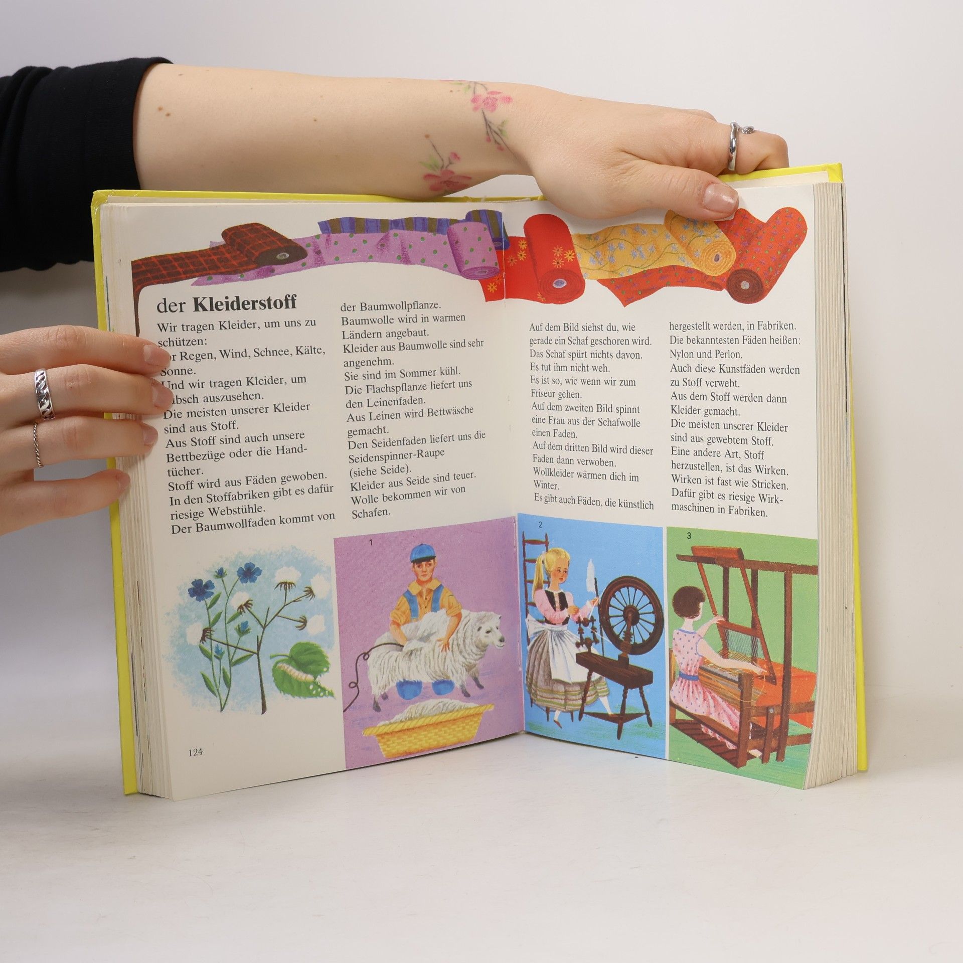Autorenkollektiv Mein großes Kinderlexikon