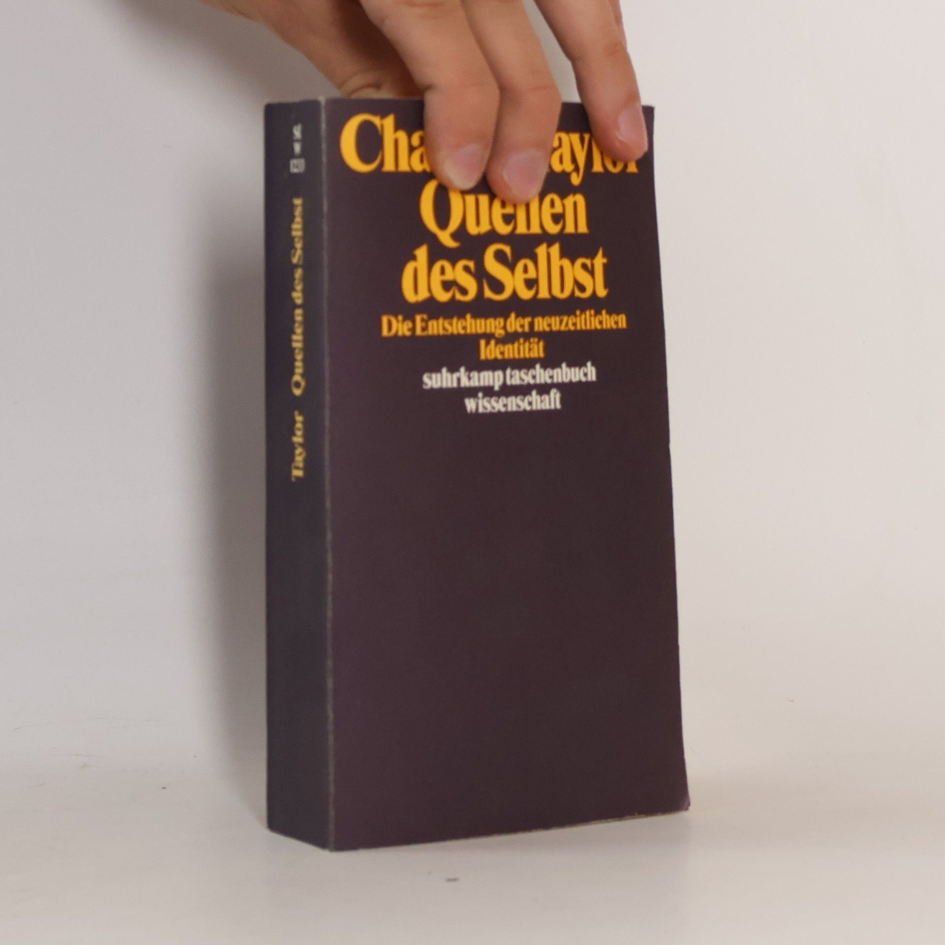 Charles Taylor Quellen des Selbst