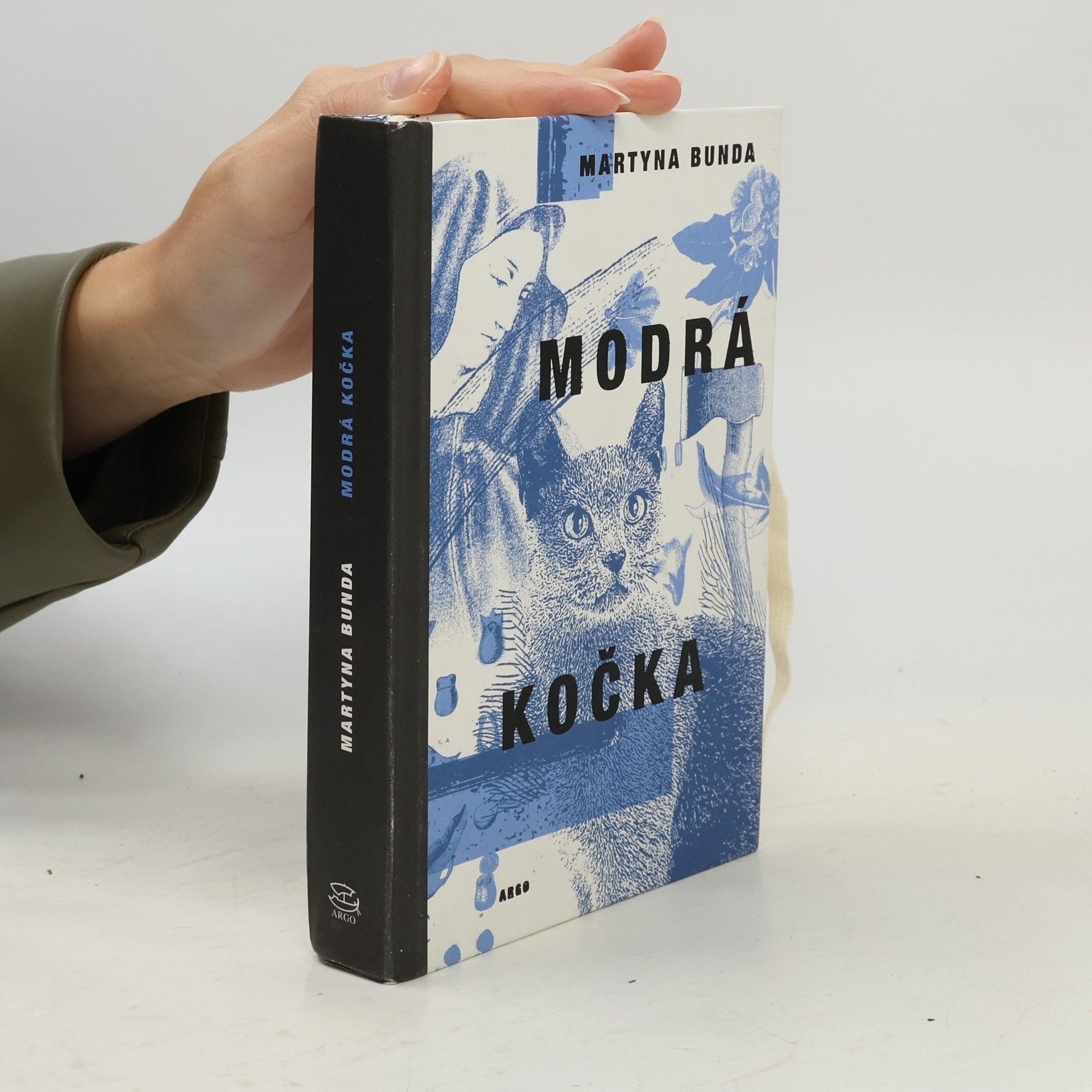 Modrá kočka