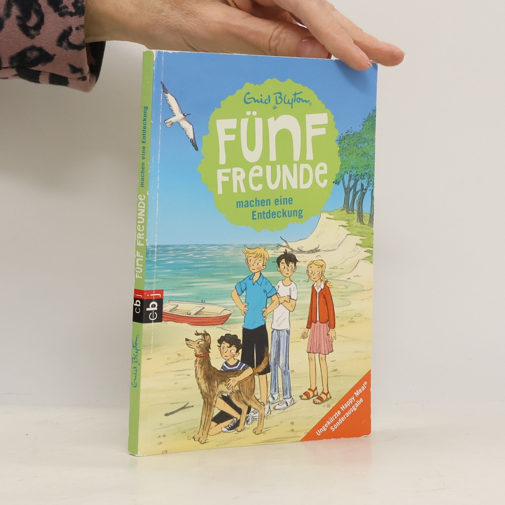 Enid Blyton Fünf Freunde machen eine Entdeckung