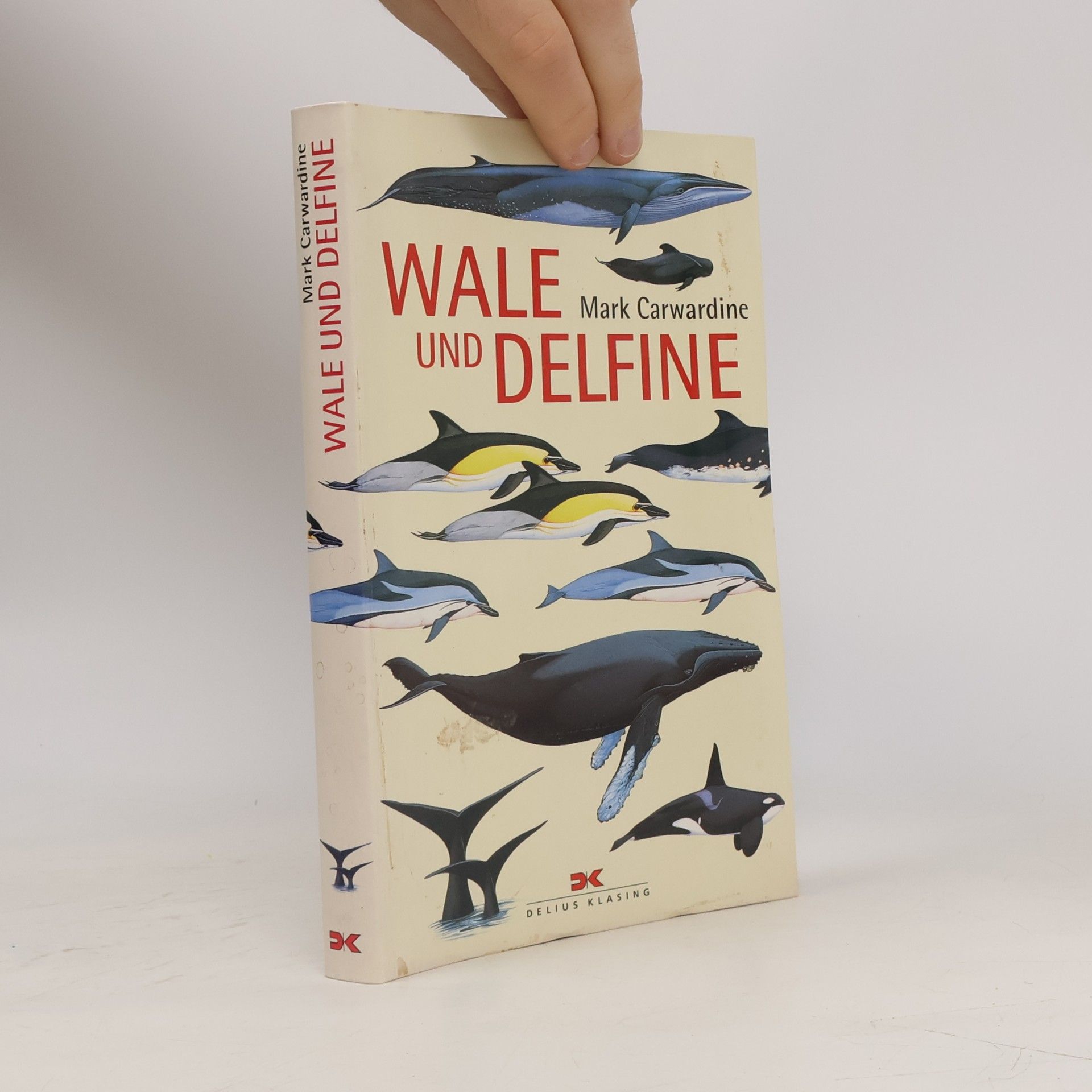 Wale und Delfine