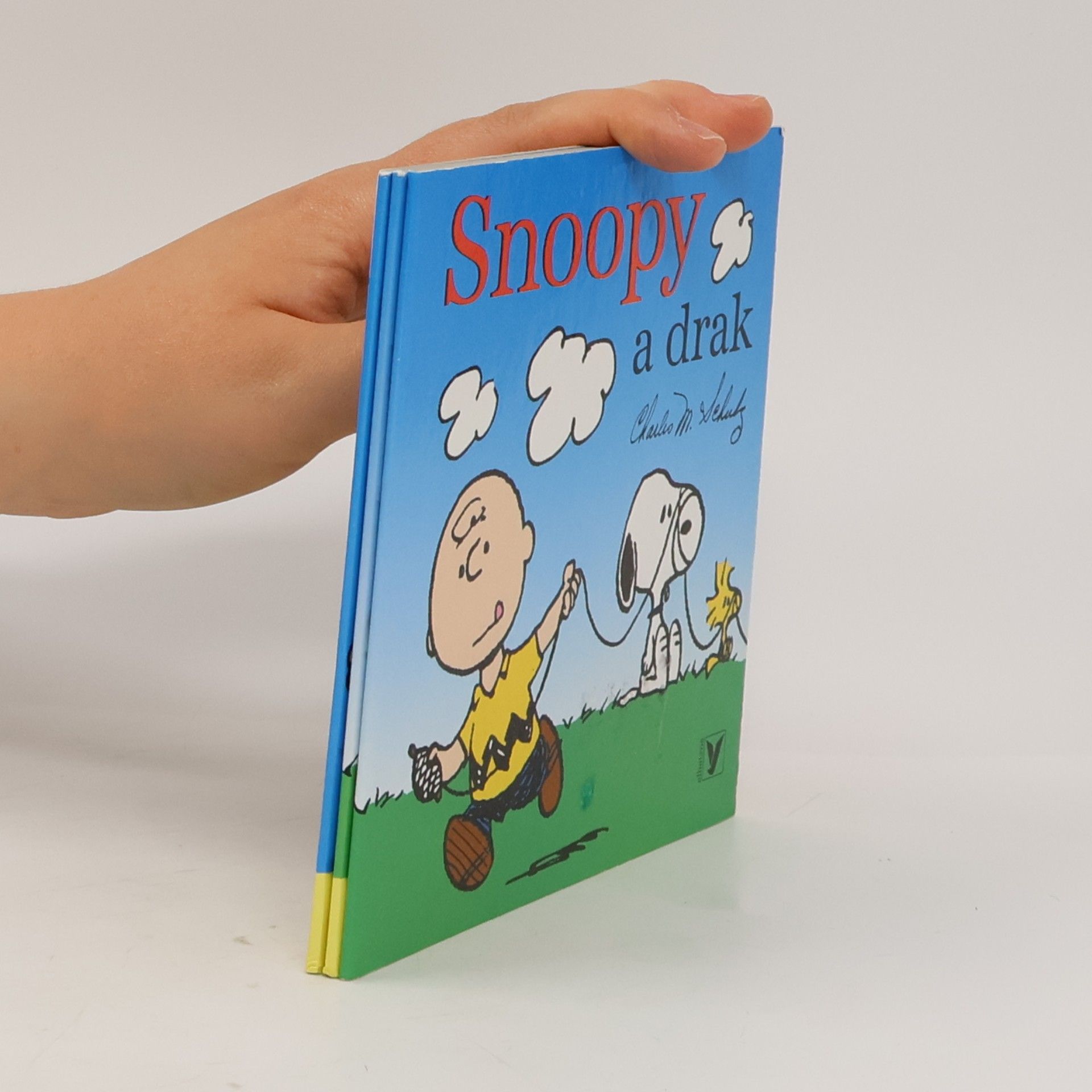 Petr Onufer Snoopy a drak