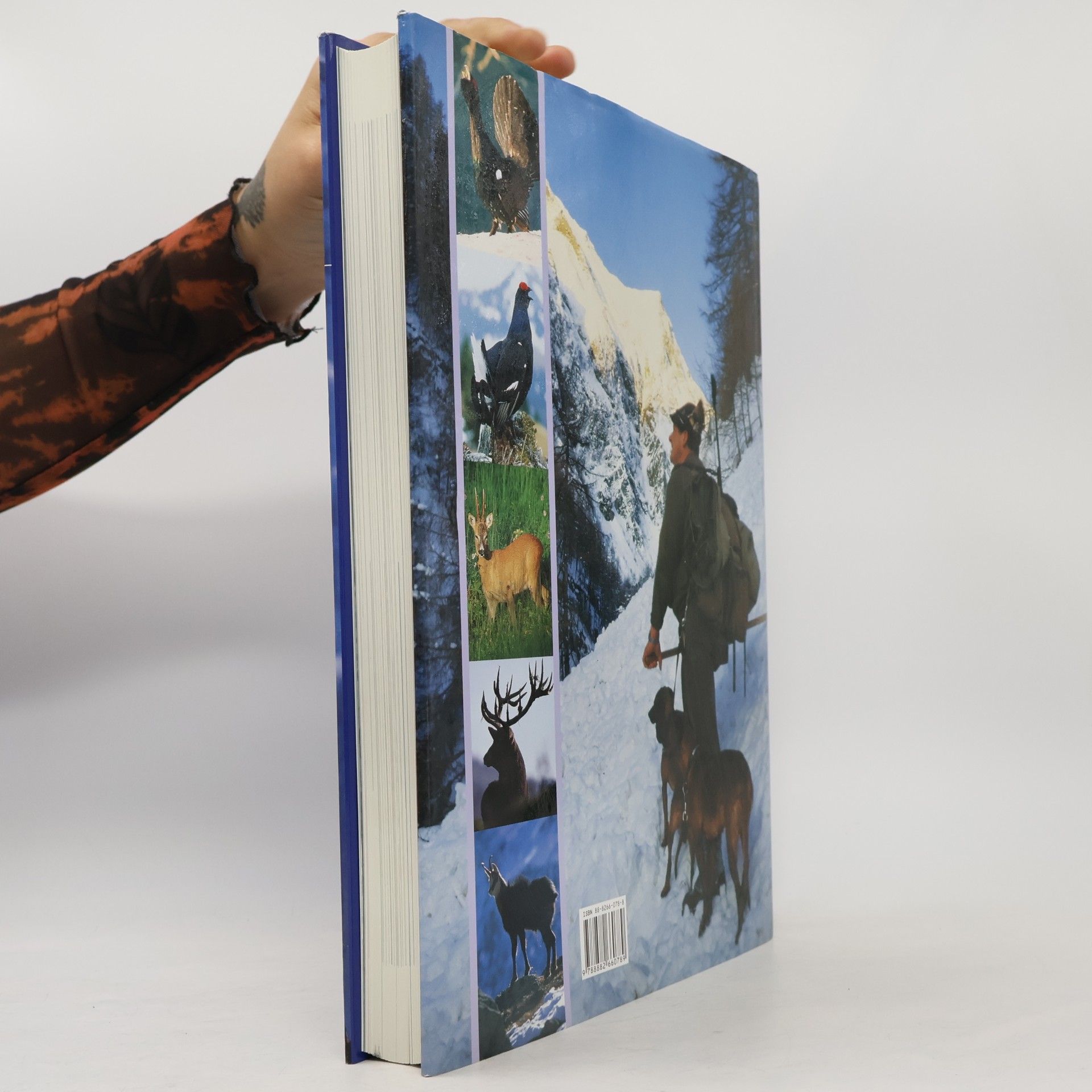 Erwin Hofer Pirsch auf einsamen Höhen: Das Bergjagdbuch