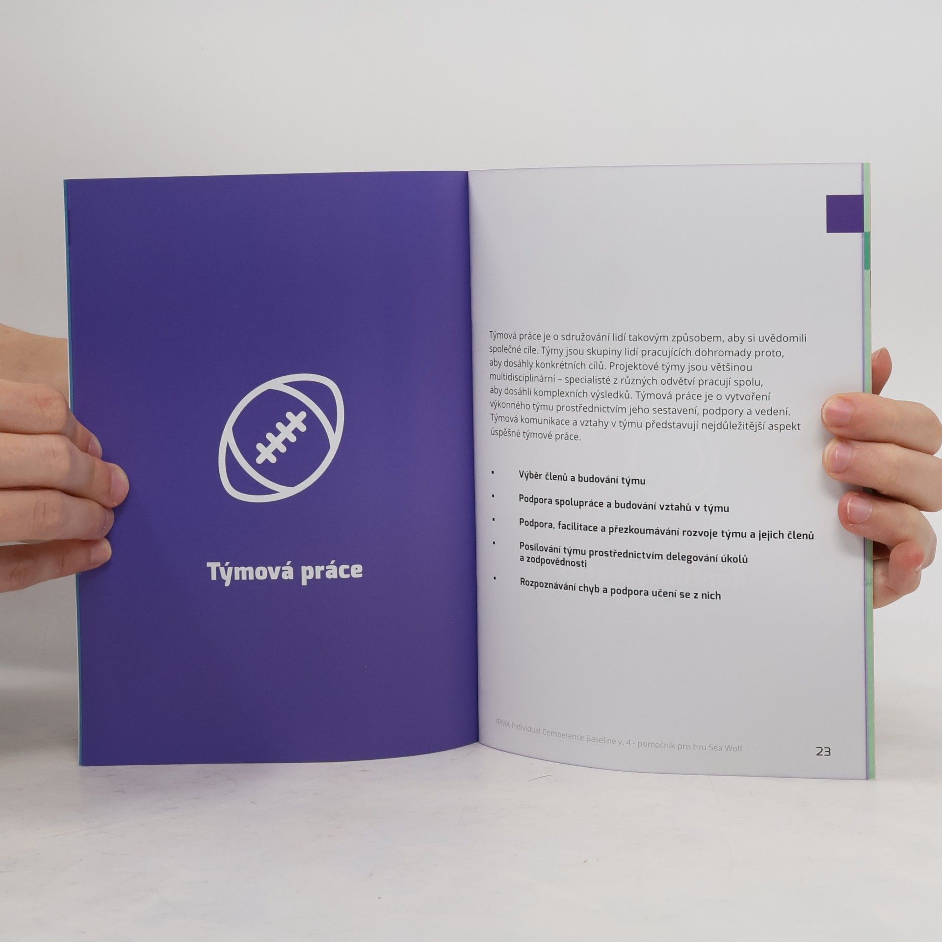 Autorenkollektiv IPMA Individual Competence Baseline v. 4