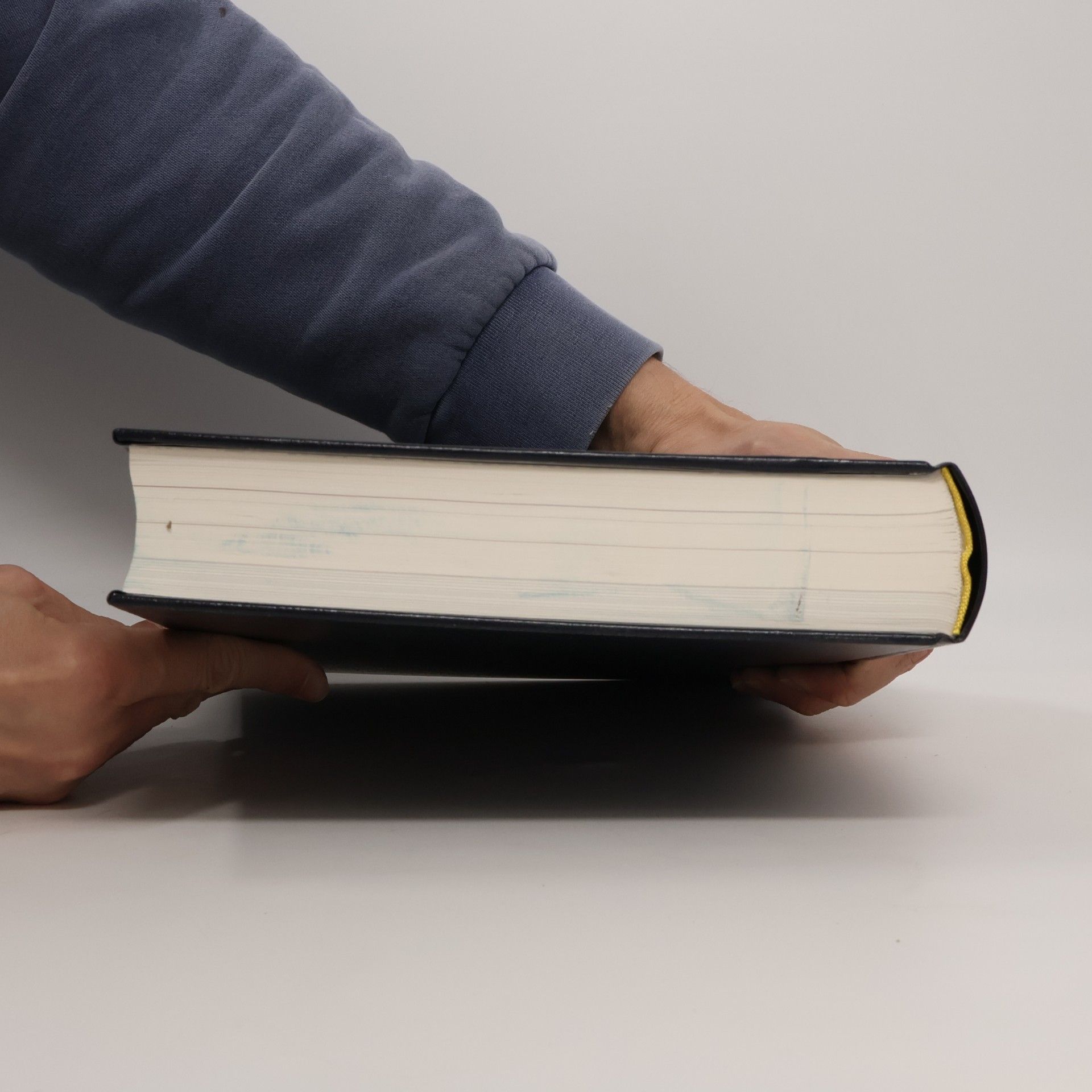 Manfred Brocks Chronik-Bibliothek des 20. Jahrhunderts