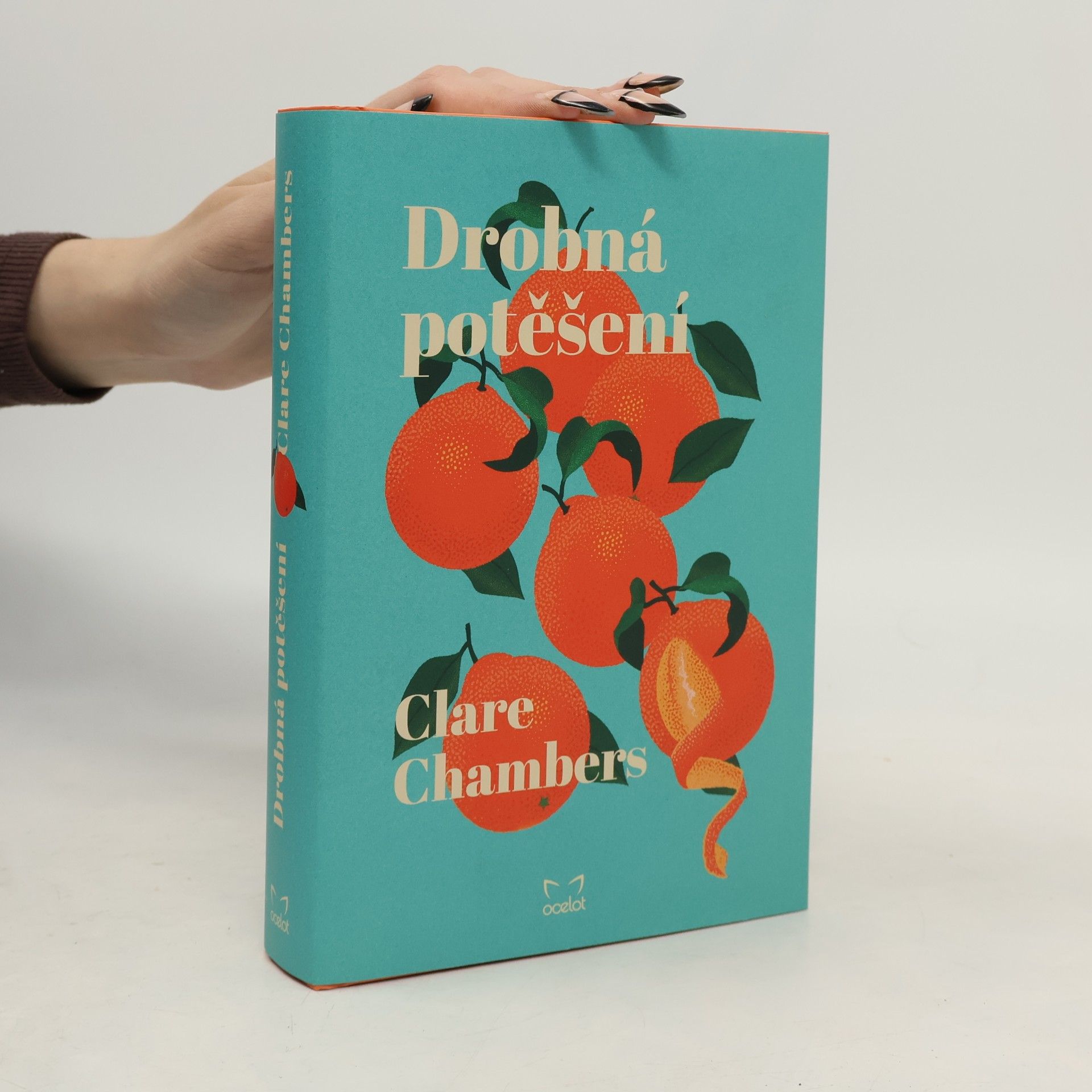 Clare Chambers Drobná potěšení