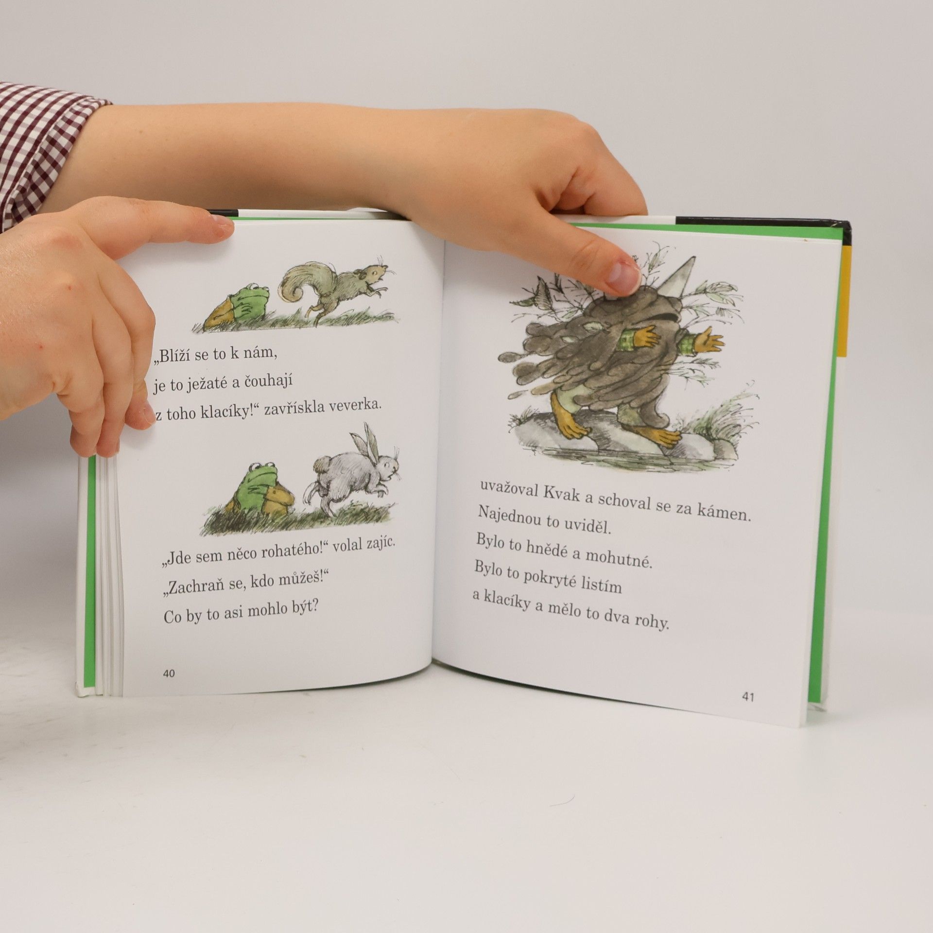 Eva Musilová Kvak a Žbluňk od jara do Vánoc