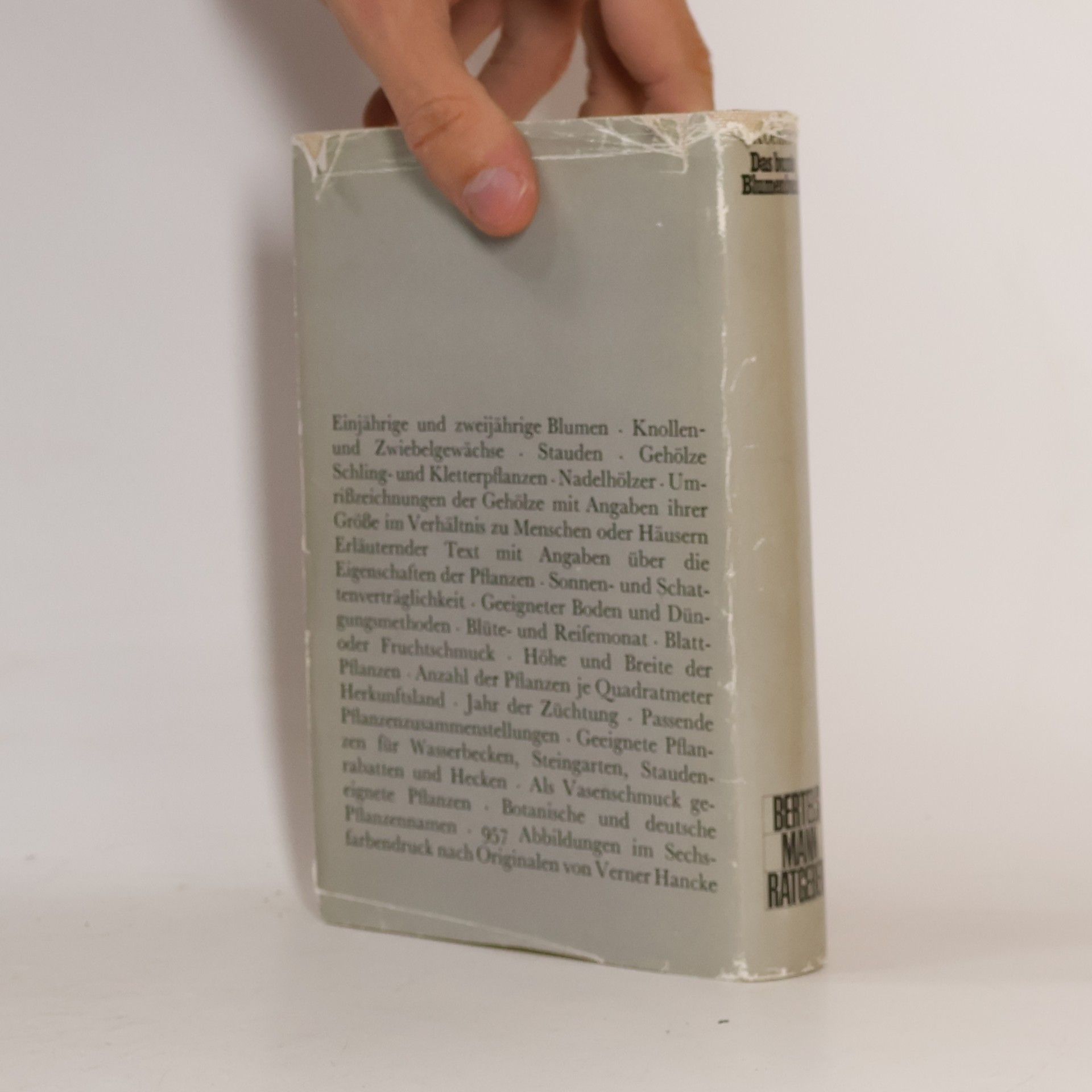 Horst Koehler Das bunte Blumenbuch