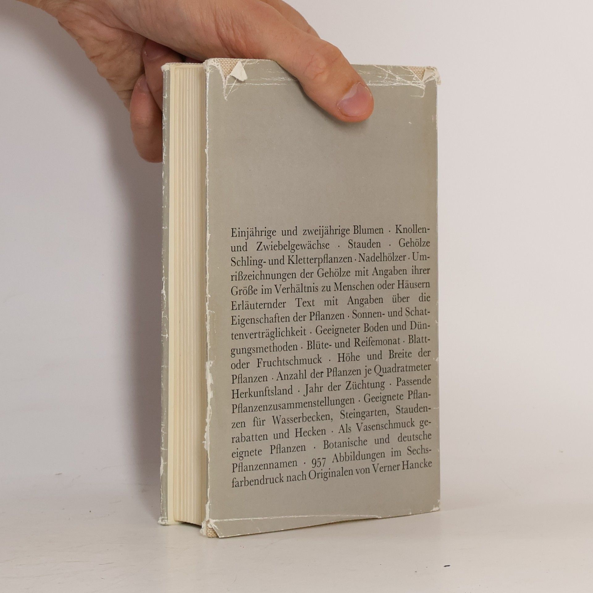 Horst Koehler Das bunte Blumenbuch