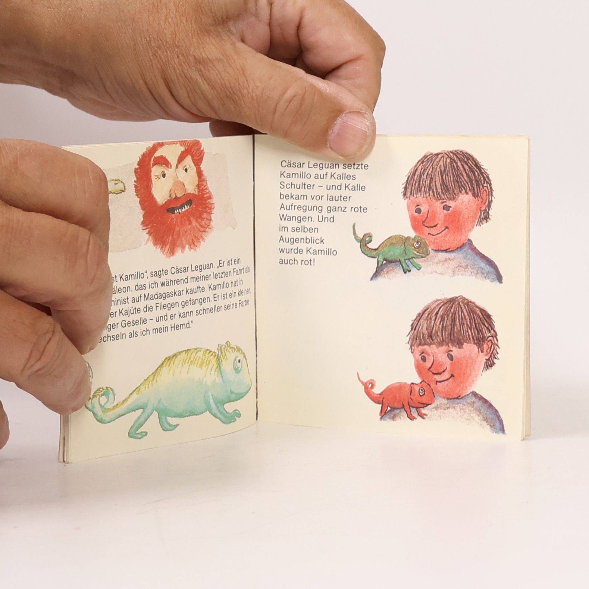 Axel Scheffler Maxi Pixi 427: Pip und Posy sagen Gute Nacht