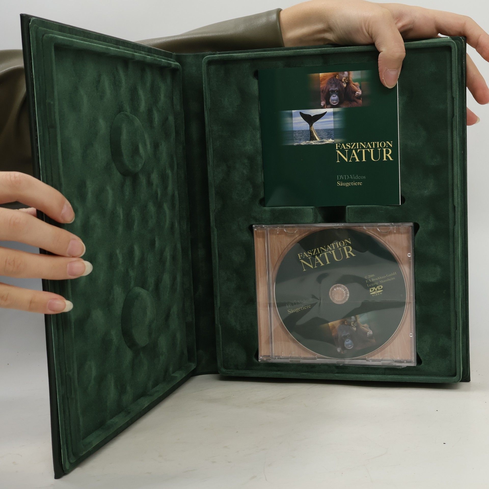 kolektiv Faszination Natur DVD-Videos Säugetiere