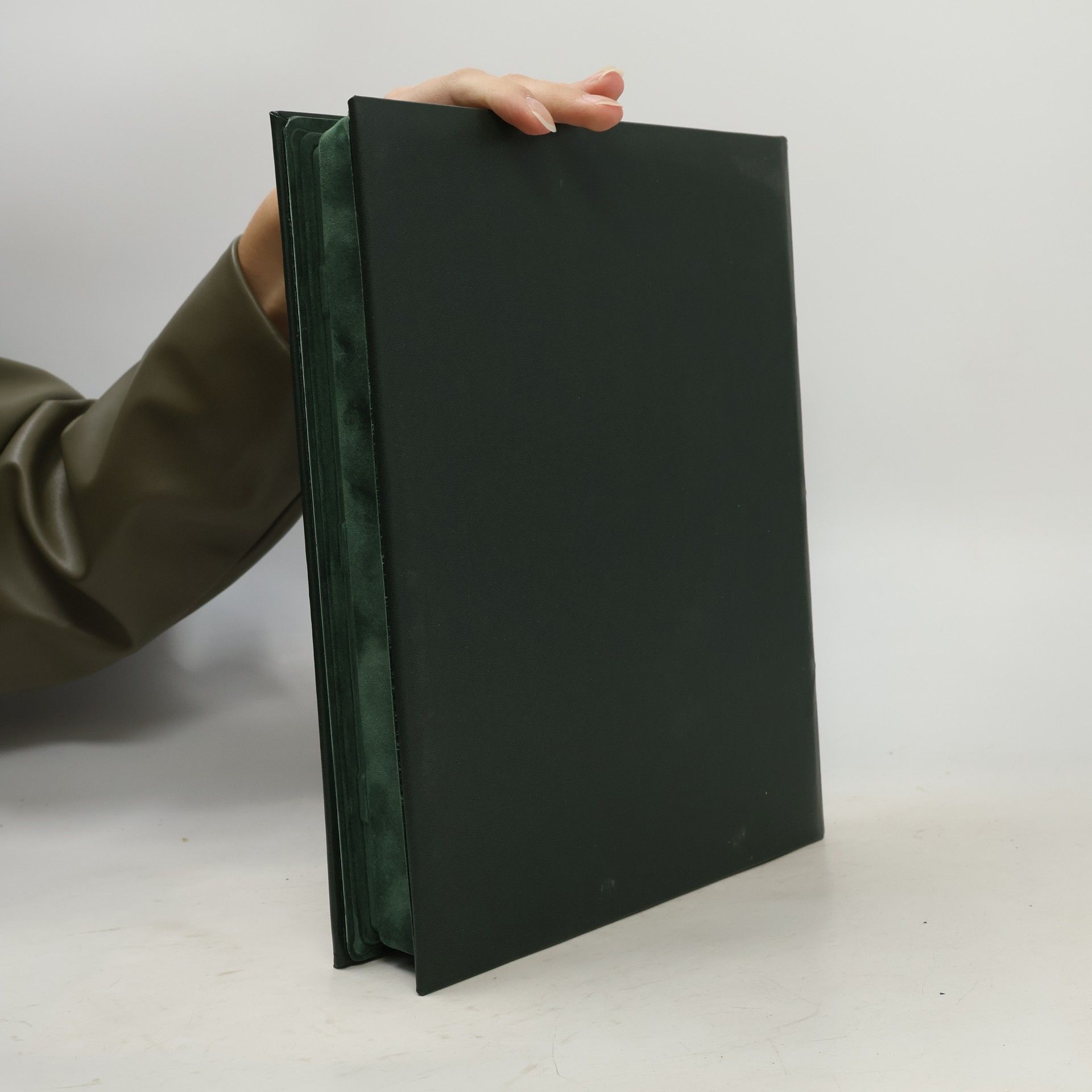 kolektiv Faszination Natur DVD-Videos Säugetiere