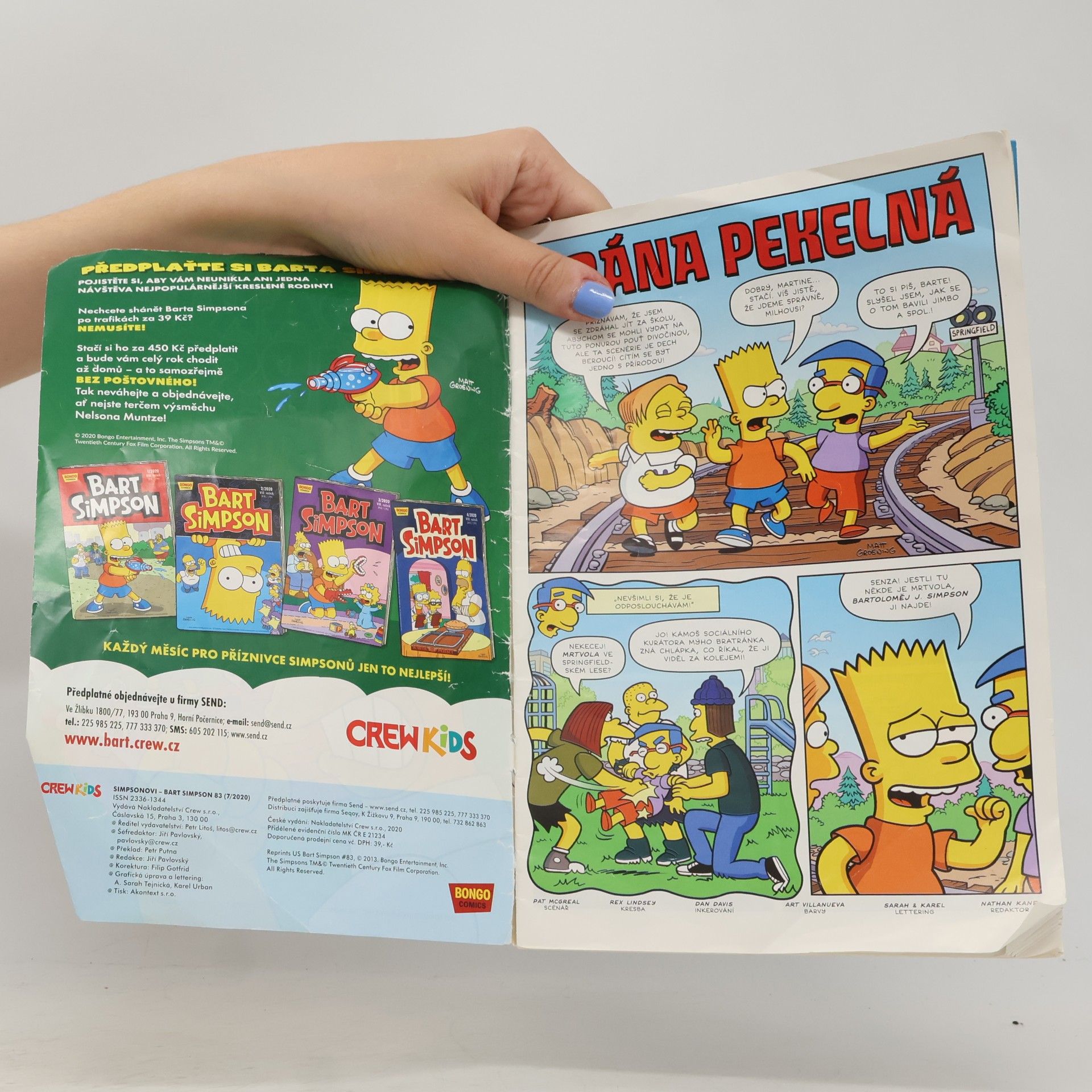 Matt Groening Bart Simpson je king!