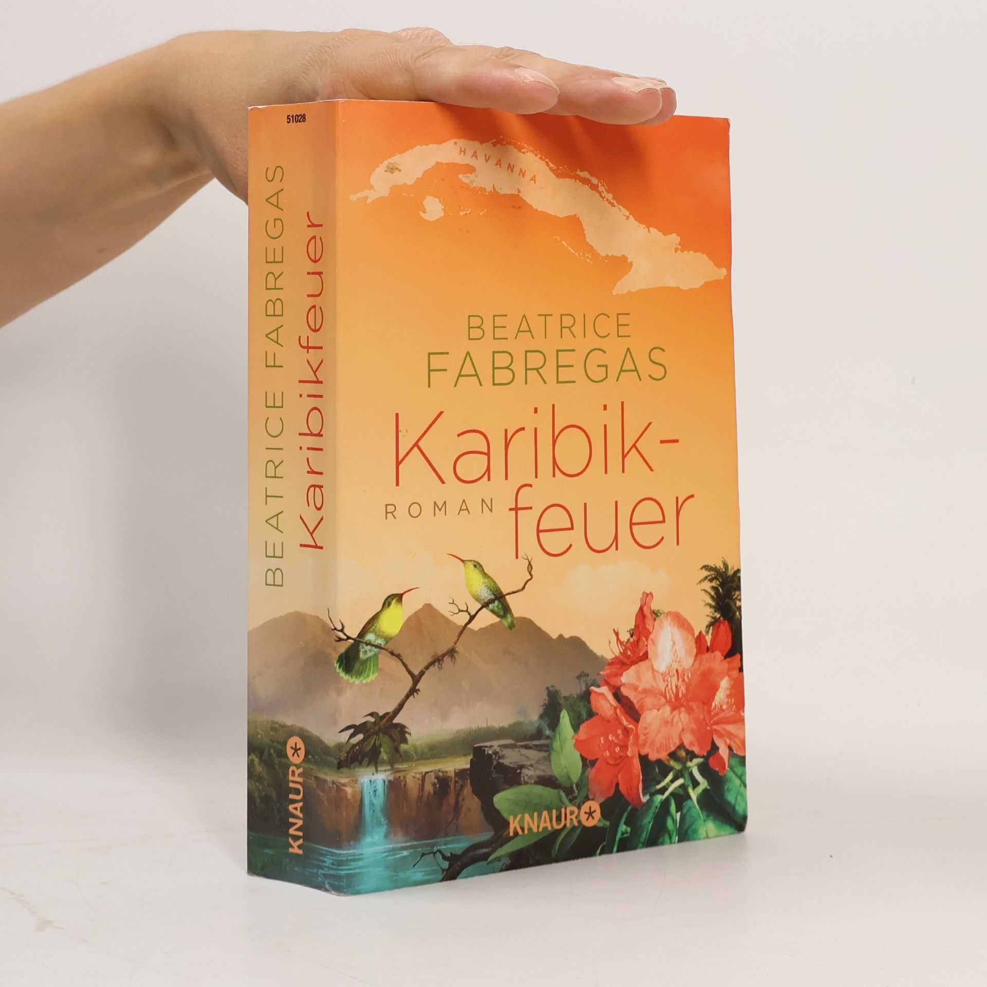 Beatrice Fabregas Karibikfeuer