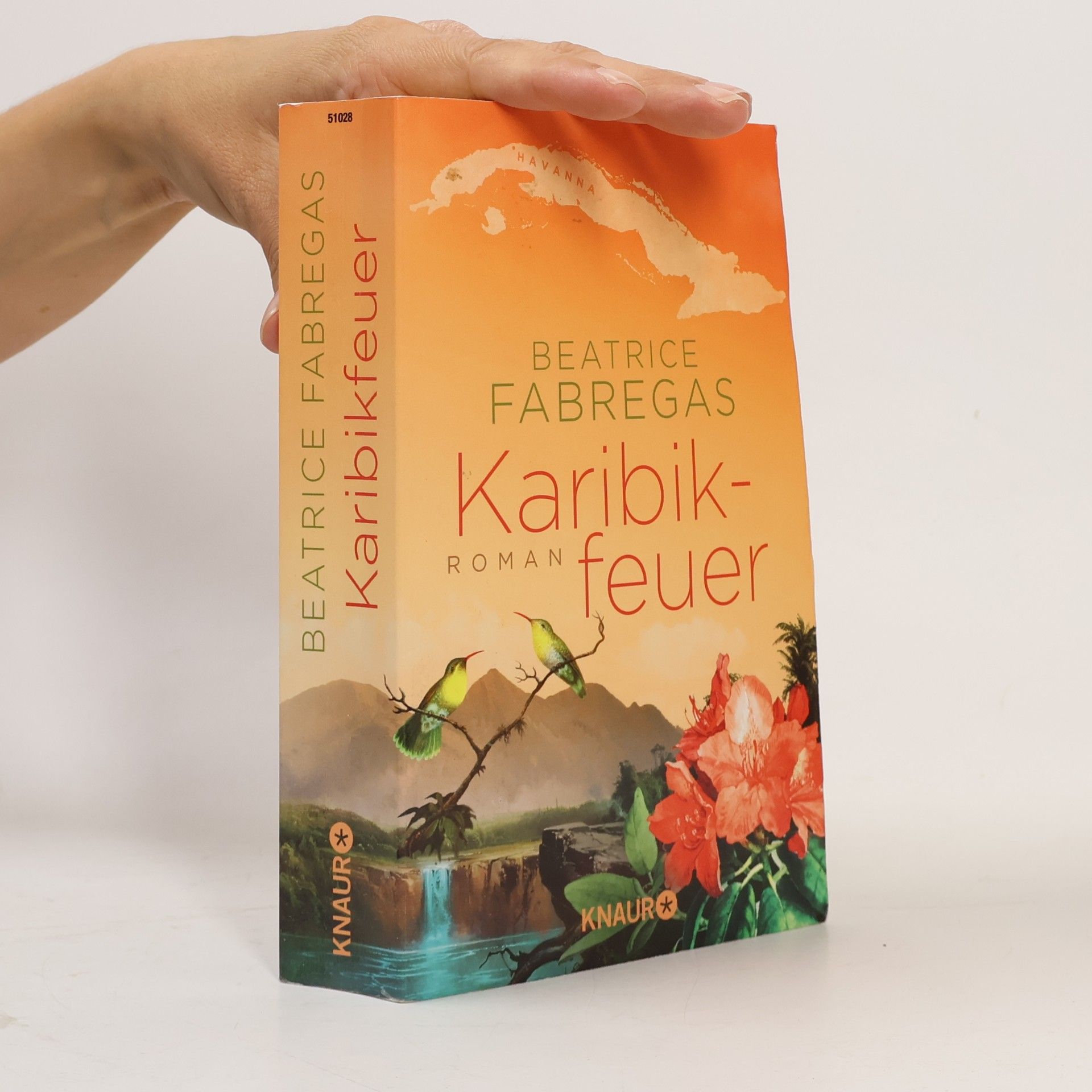 Beatrice Fabregas Karibikfeuer