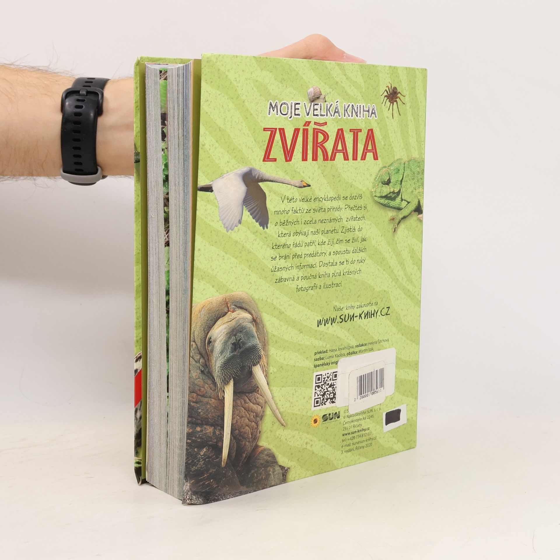 Francesca Bignotti Moje velká kniha. Zvířata