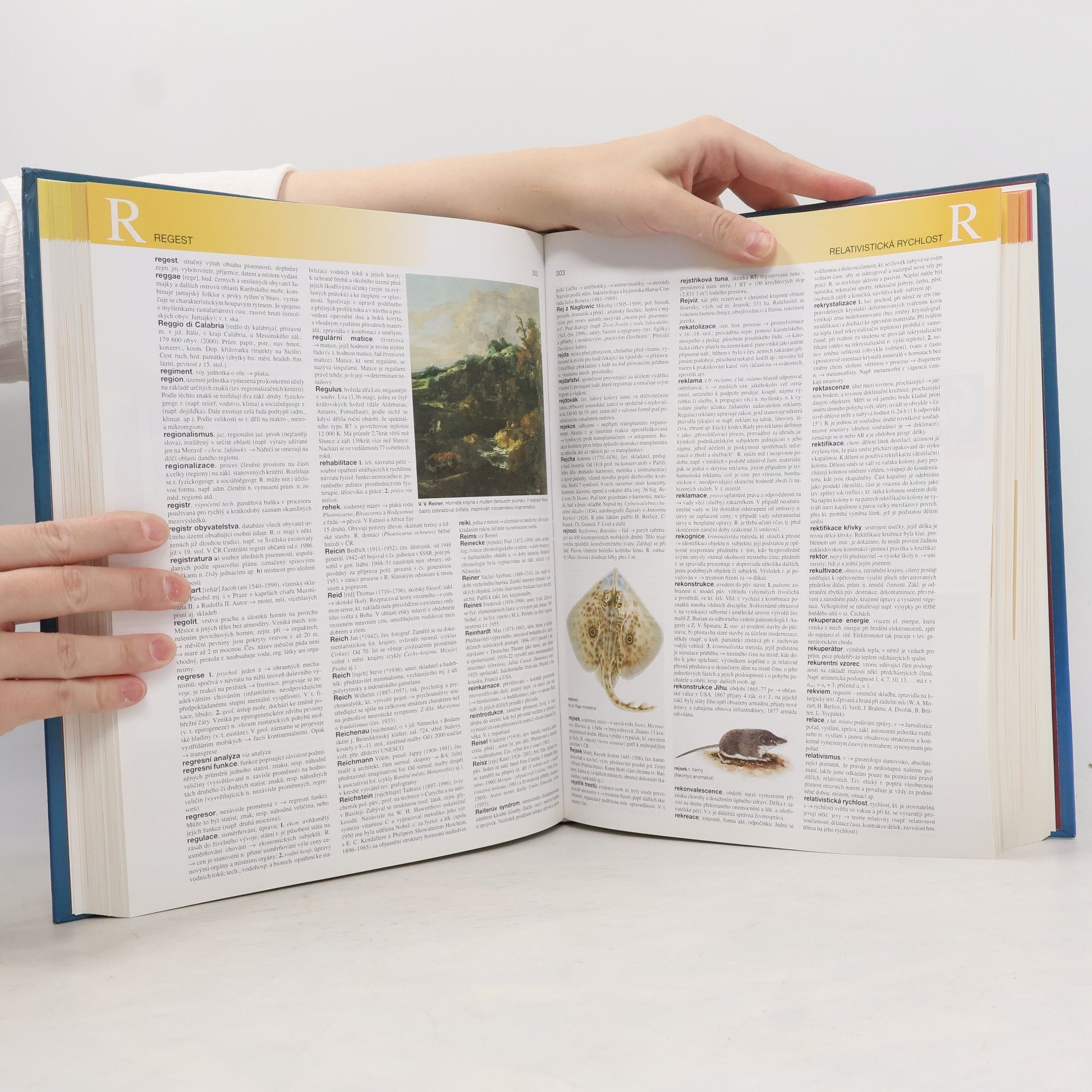 Autorenkollektiv Ottova všeobecná encyklopedie ve dvou svazcích 2. M-Ž