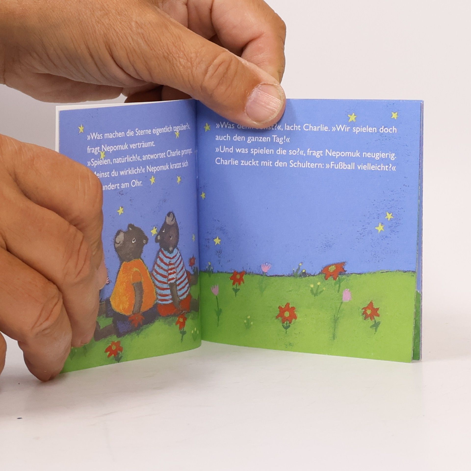 kolektiv Sternbärenhimmel