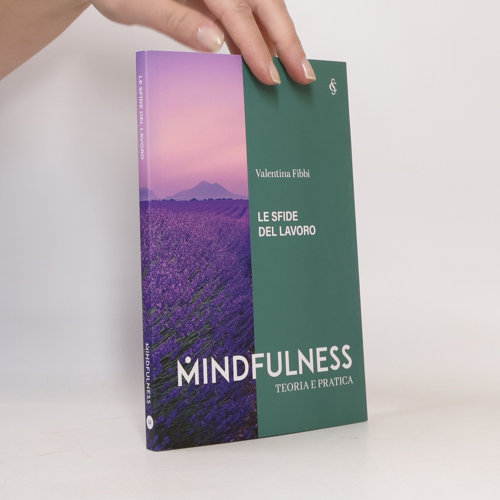 Valentina Fibbi Mindfulness 14. Teoria e pratica. Le sfide del lavoro