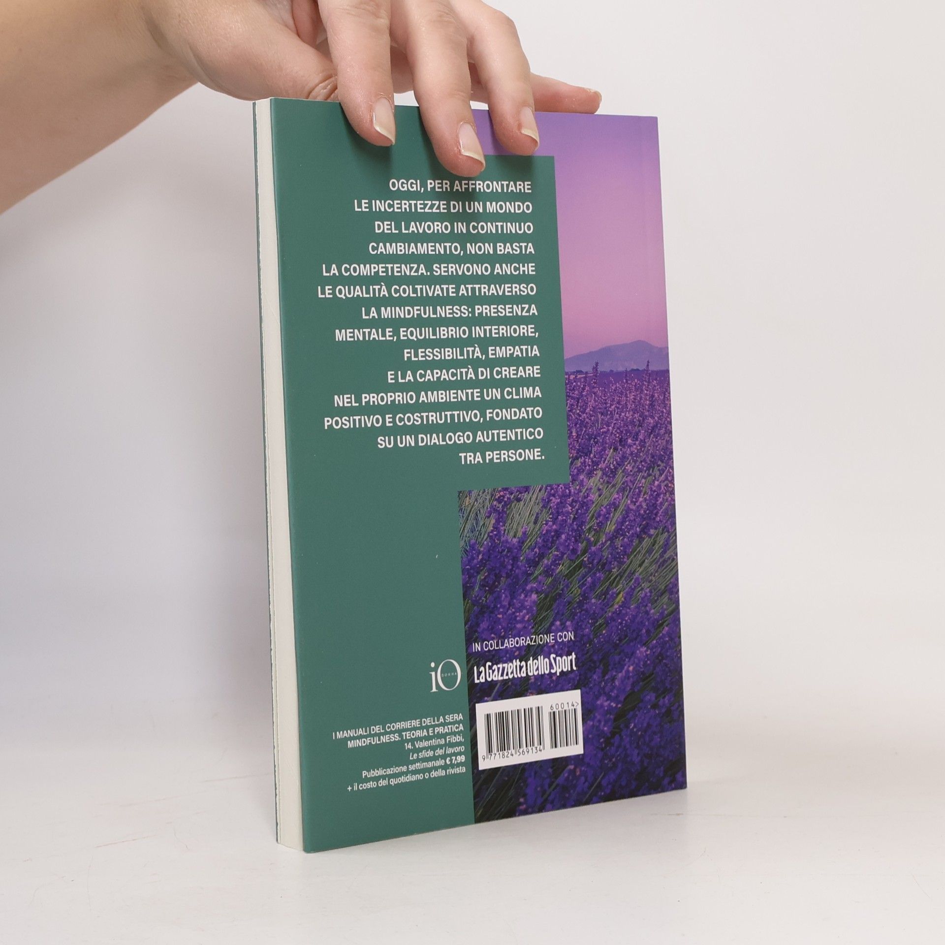 Valentina Fibbi Mindfulness 14. Teoria e pratica. Le sfide del lavoro