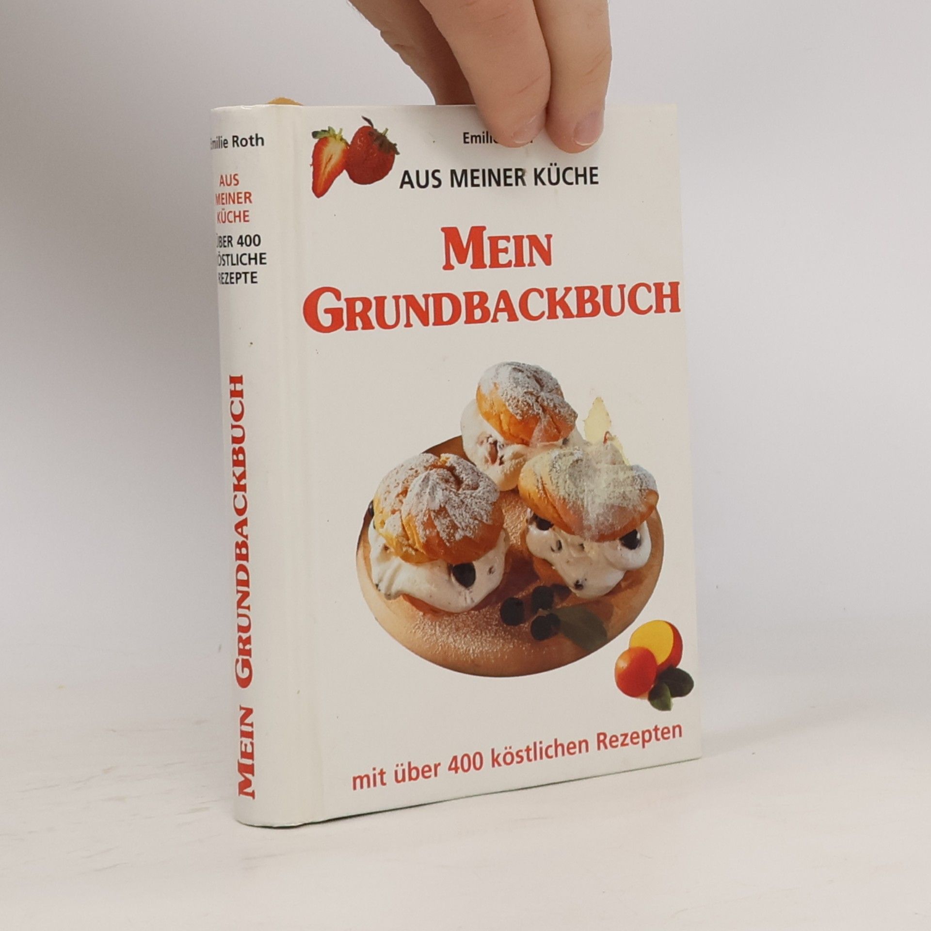 Kolektiv autorů Aus meiner Küche
